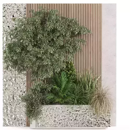 Plants collection 974 3D model