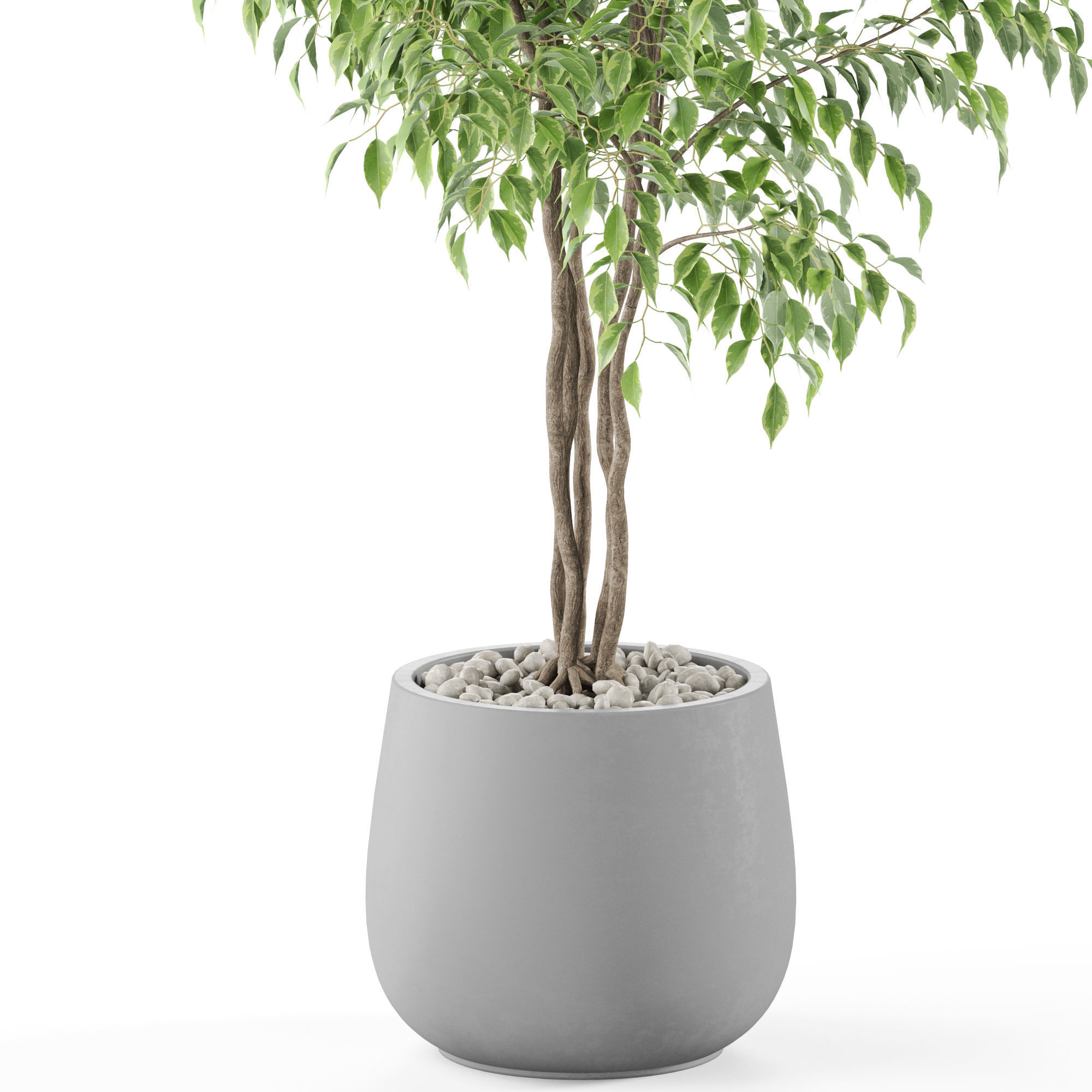 Plants collection 975 3D model_2
