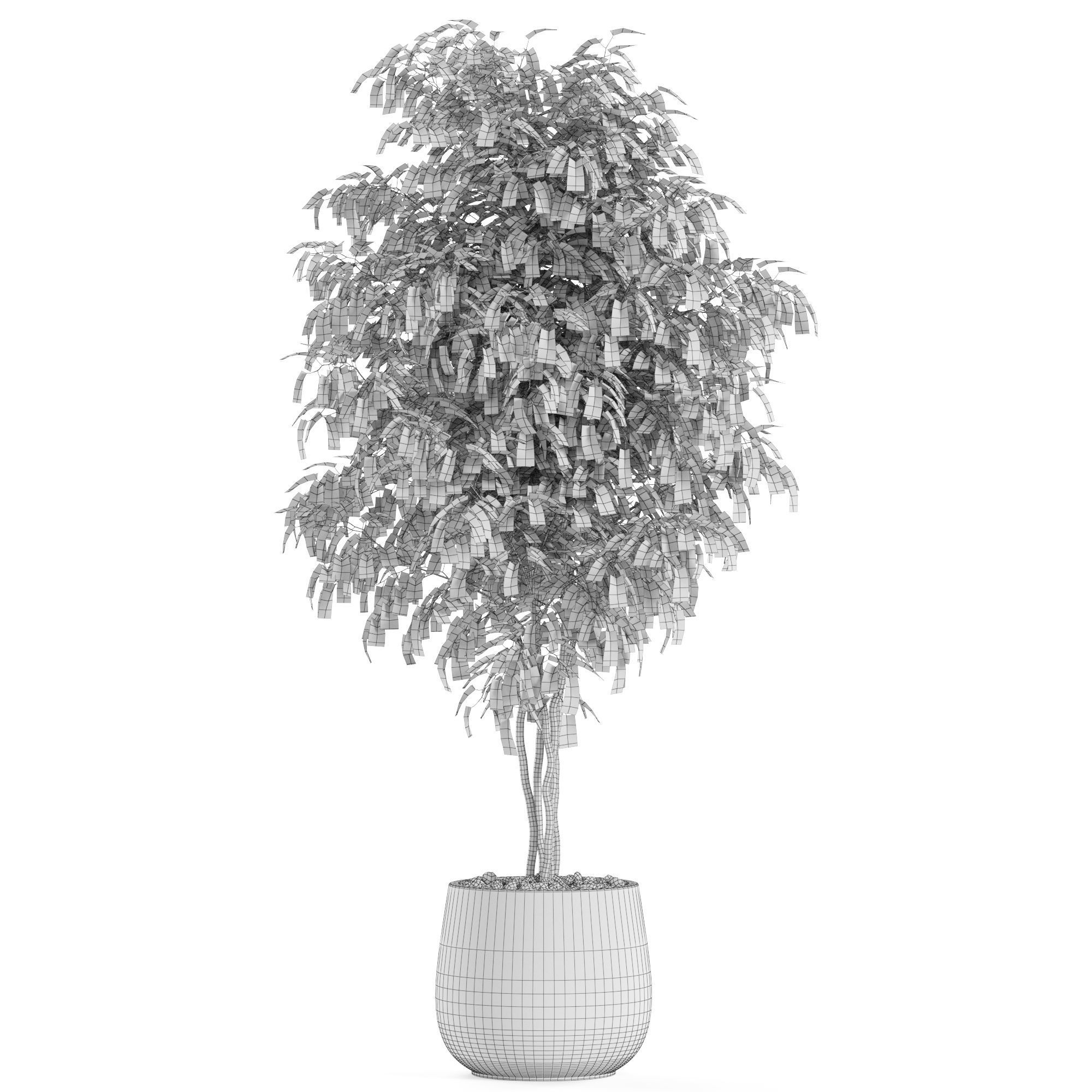 Plants collection 975 3D model_4