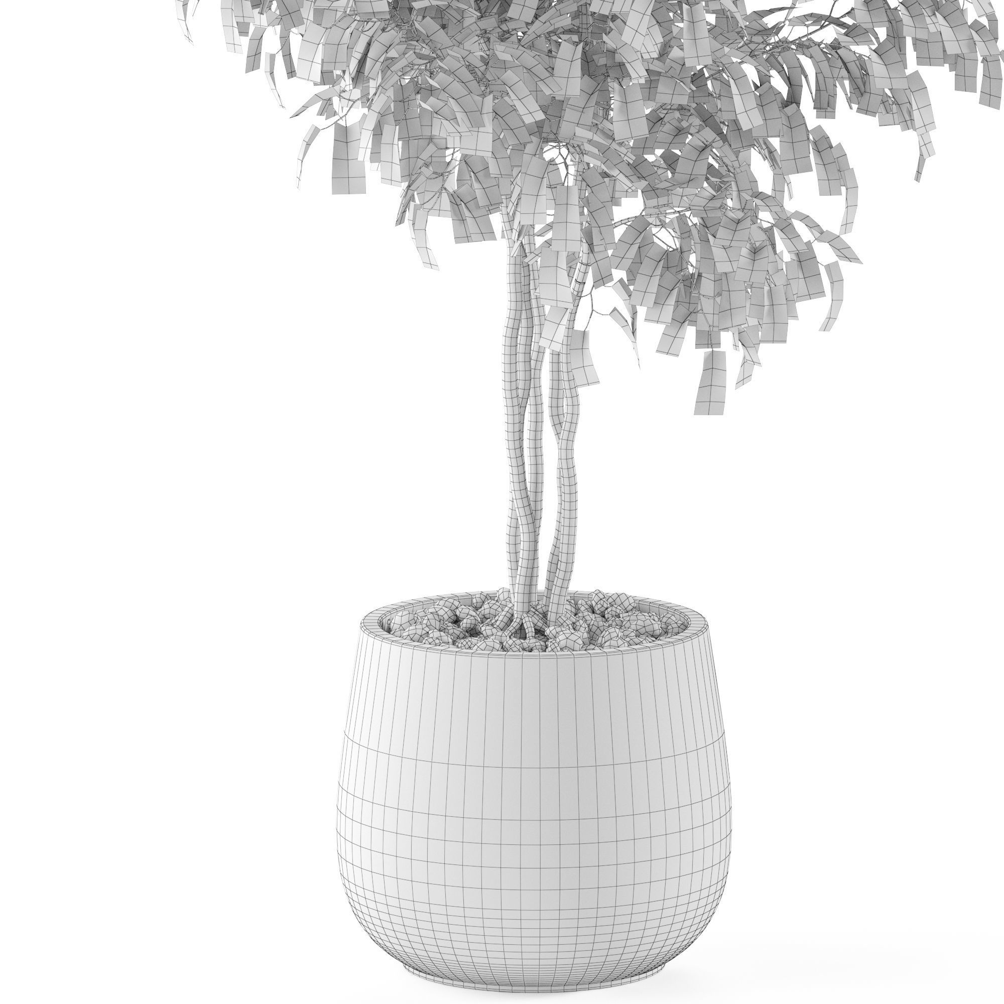 Plants collection 975 3D model_5
