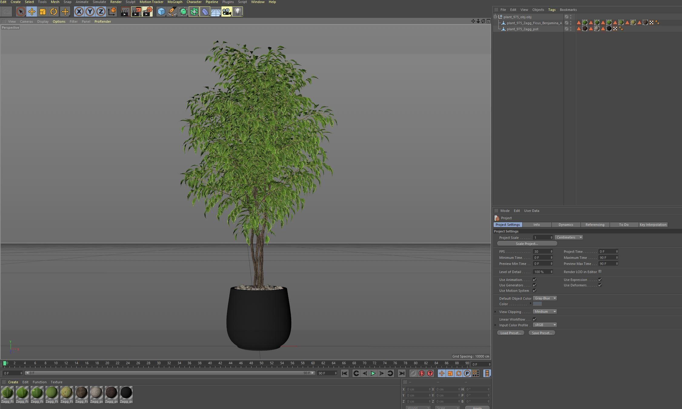 Plants collection 975 3D model_7