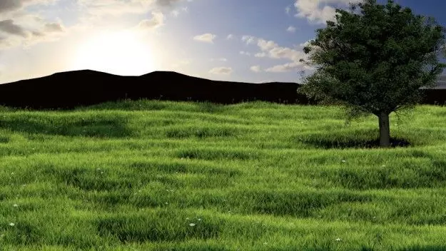 Realistic Tree 3D model_0