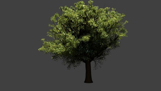 Realistic Tree 3D model_2