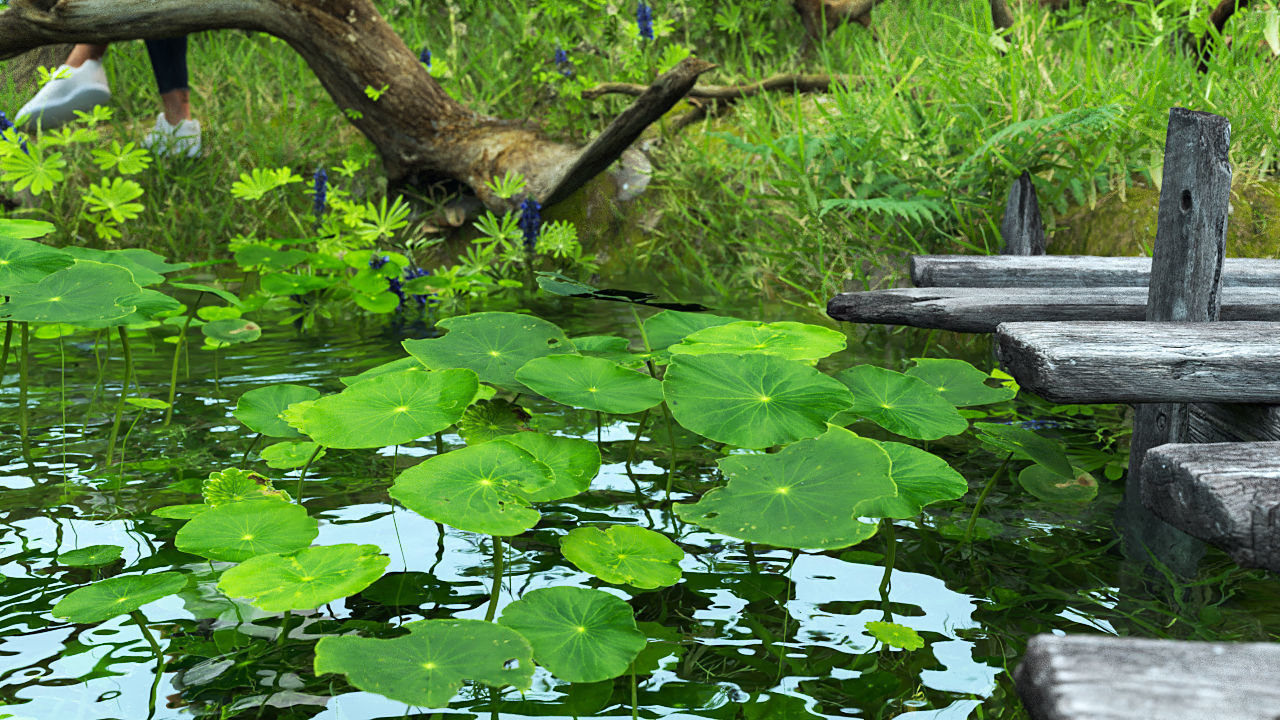 Landscape for Vray - Sketchup 3D Model Collection_2