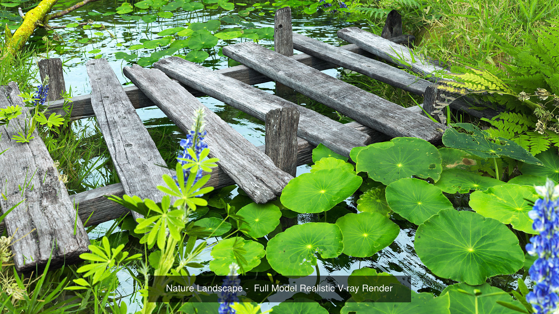 Landscape for Vray - Sketchup 3D Model Collection_0