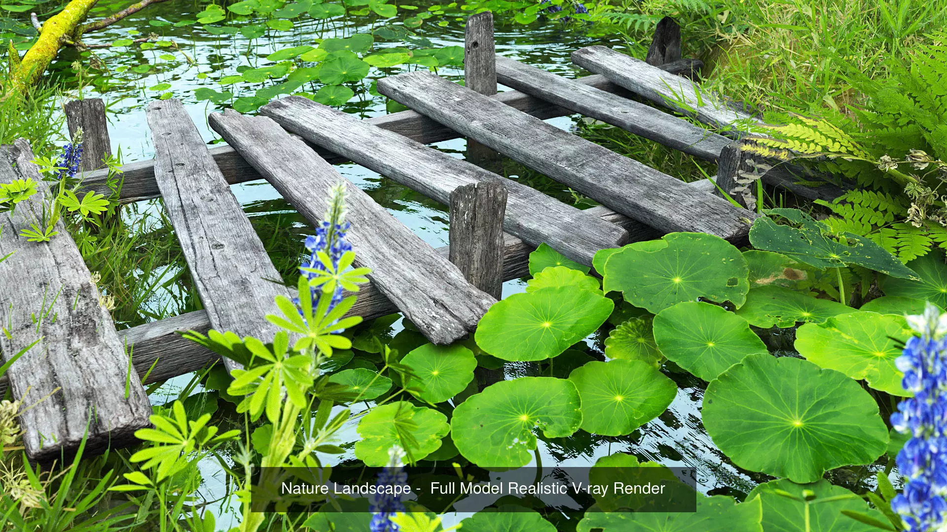 Landscape for Vray - Sketchup 3D Model Collection_0