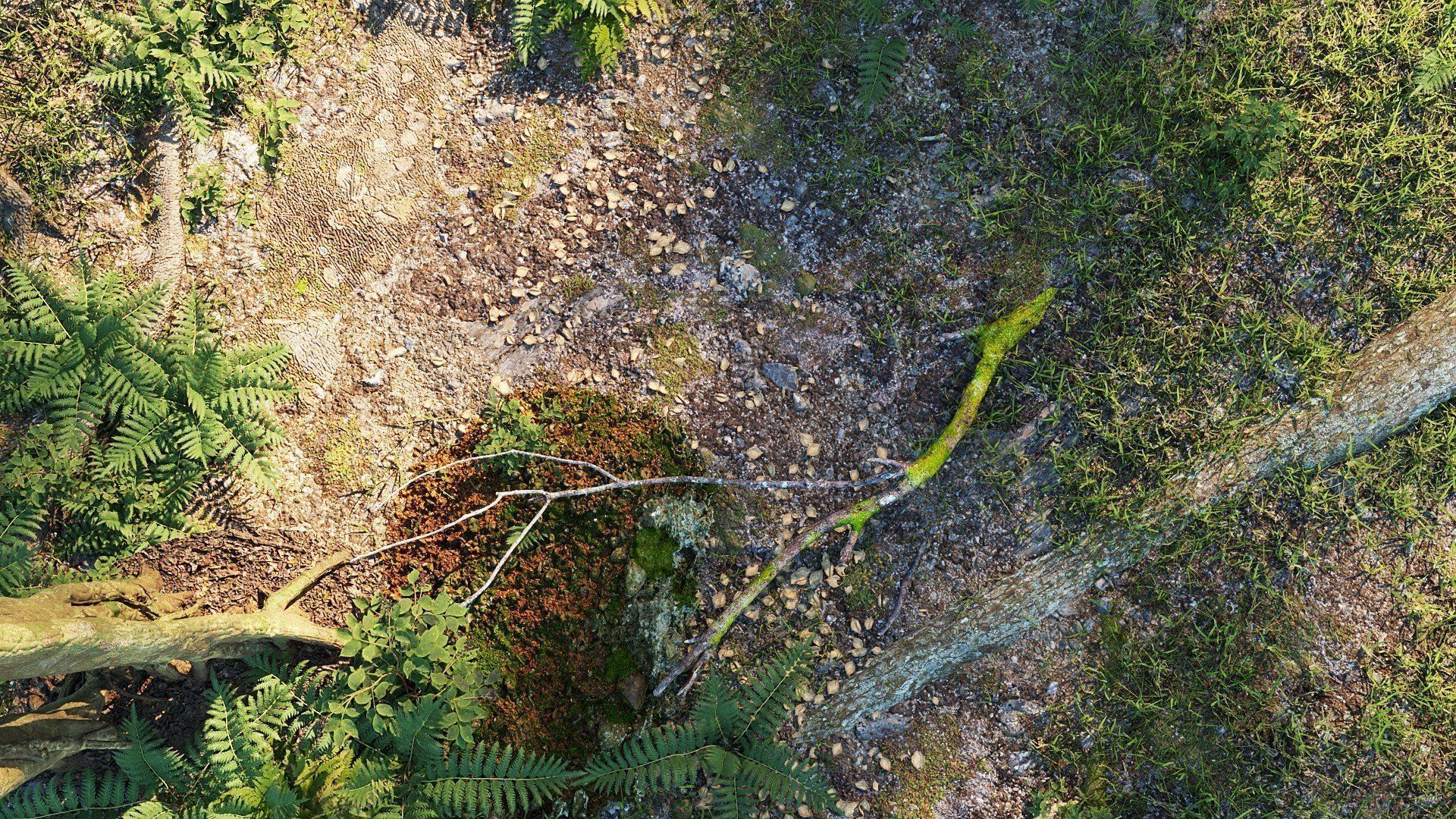 Landscape for Vray - Sketchup 3D Model Collection_9