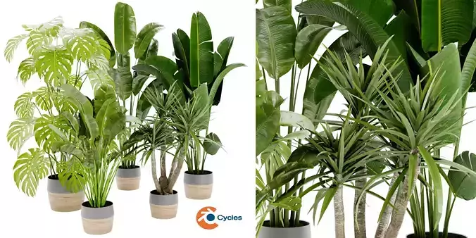  Collection plant vol 452 - blender model