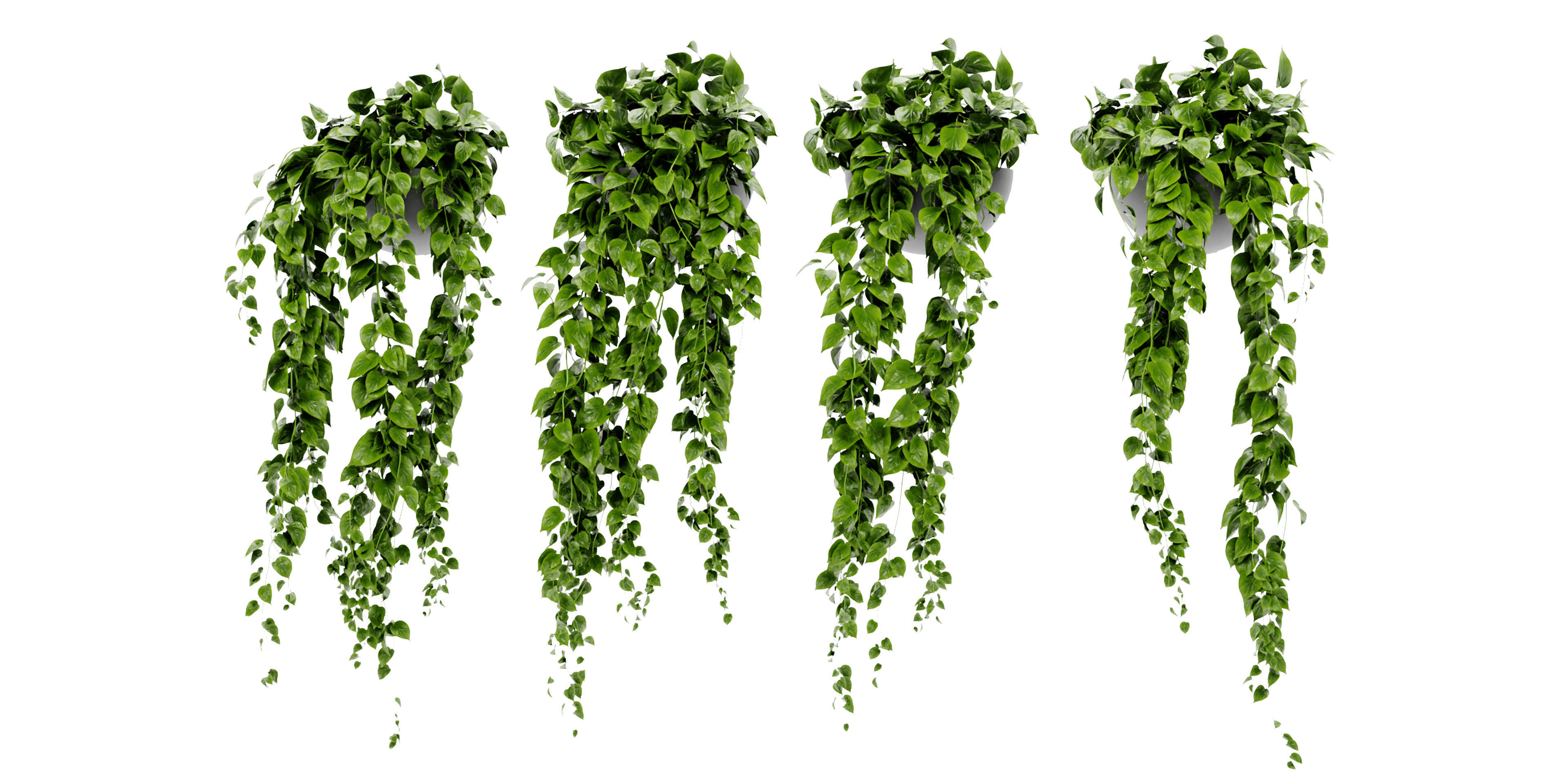 Collection plant vol 454  - blender model  3D model_1