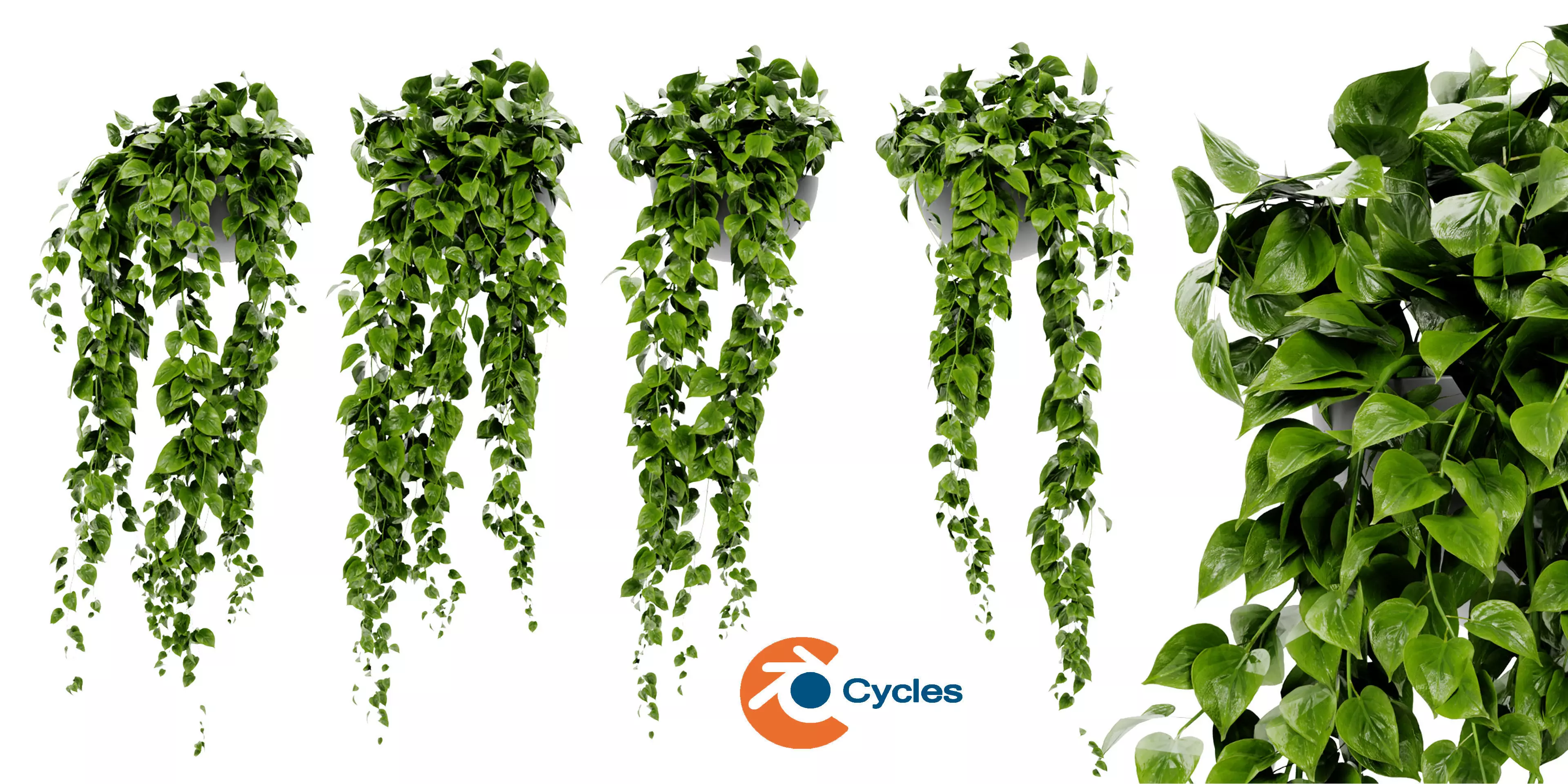 Collection plant vol 454  - blender model  3D model_0