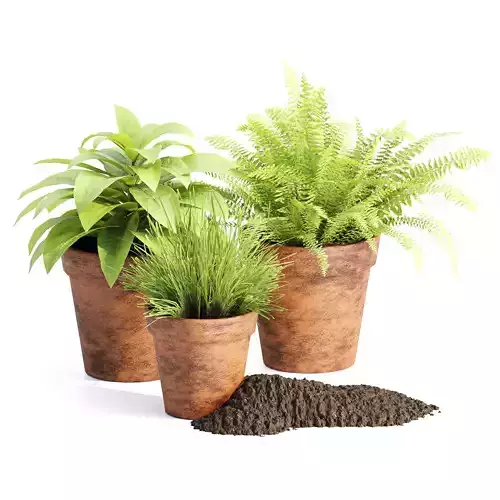 Lowpoly Pot Plants collection vol 228