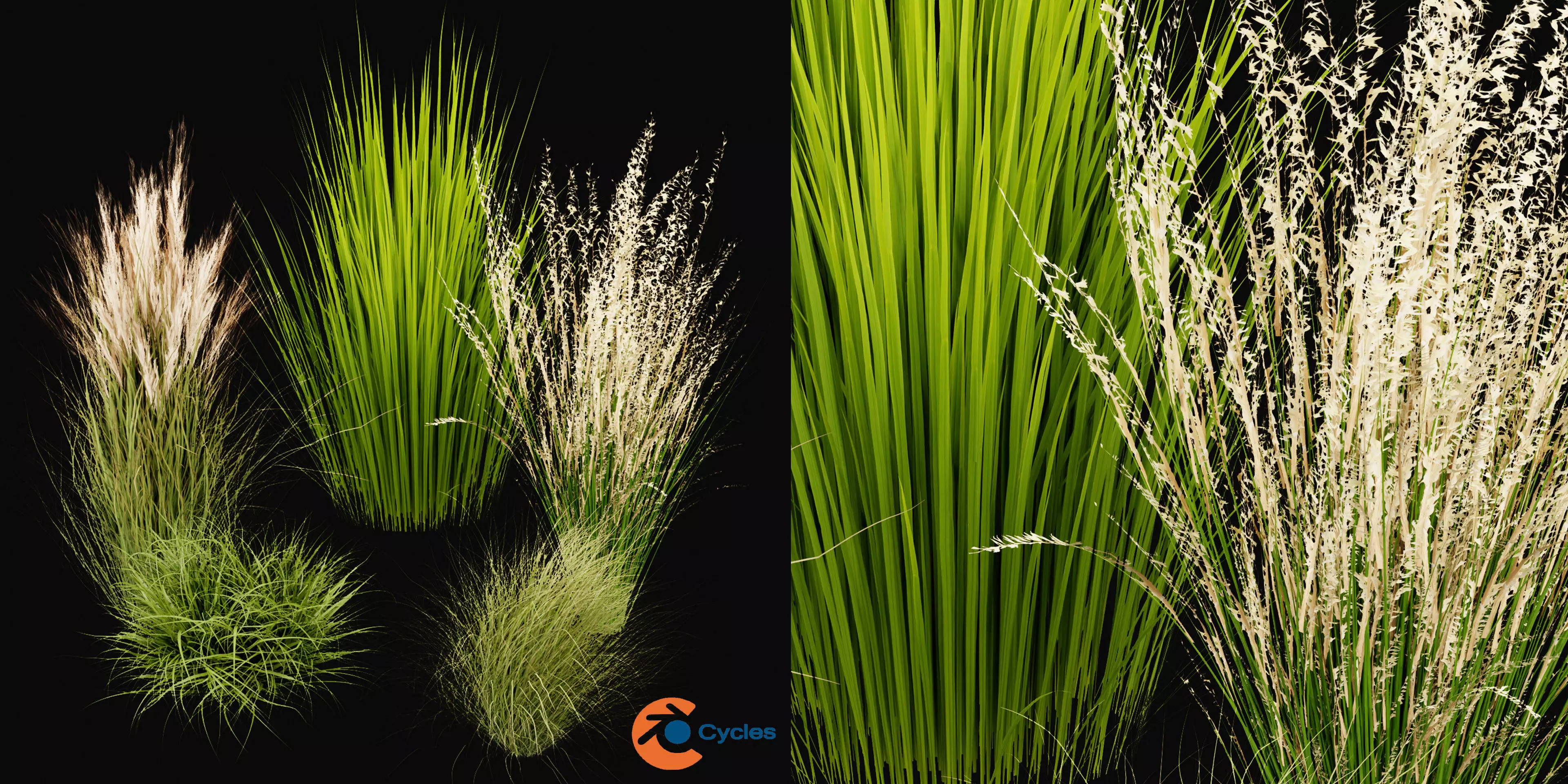 Collection plant vol 455 - blender model 3D model