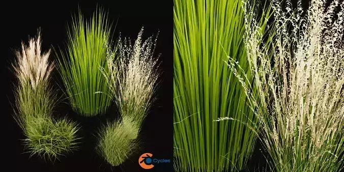 Collection plant vol 455 - blender model 