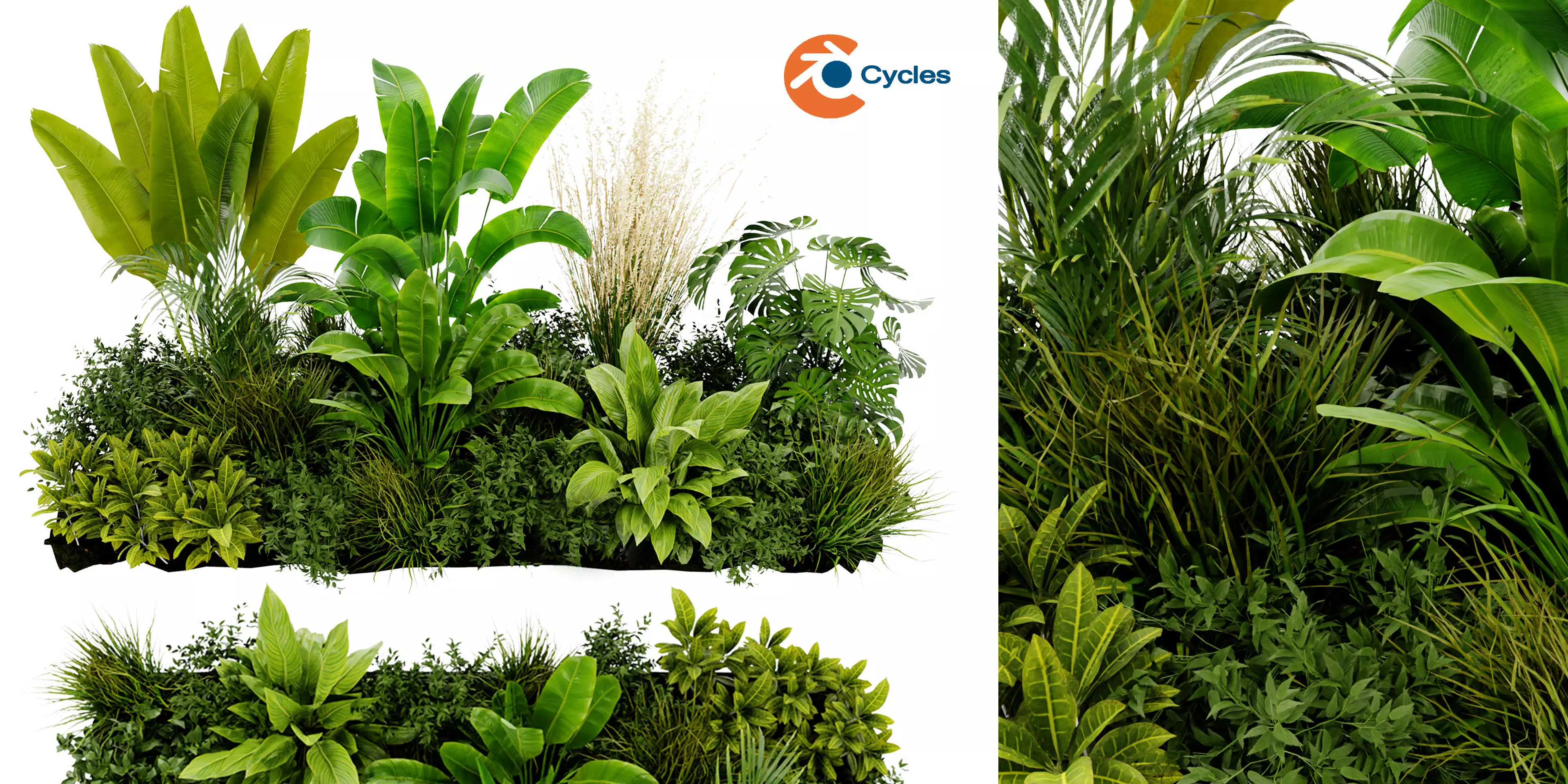 Collection plant vol 456 - blender model 3D model