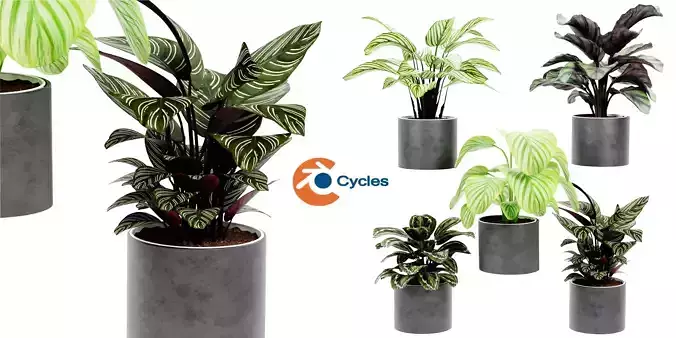 Collection plant vol 458 - blender model  3D model