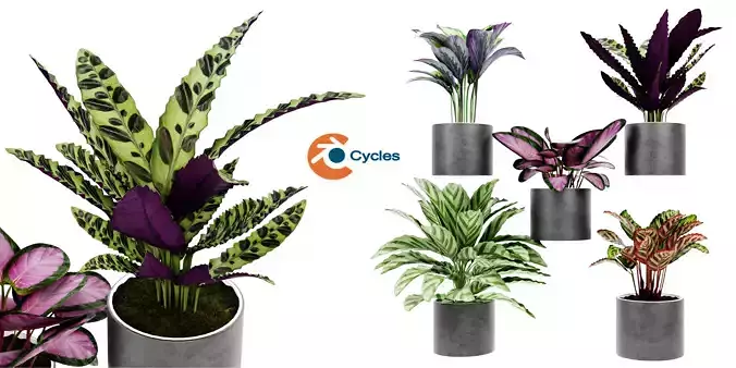 Collection plant vol 459 - blender model 