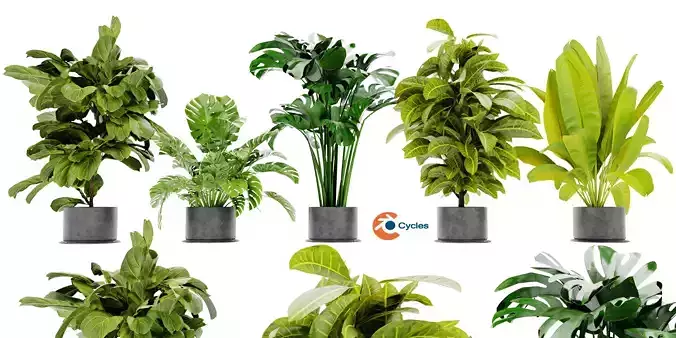 Collection plant vol 460 - blender model 