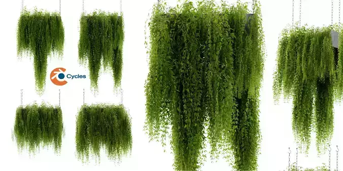 Collection plant vol 461 - blender model  3D model