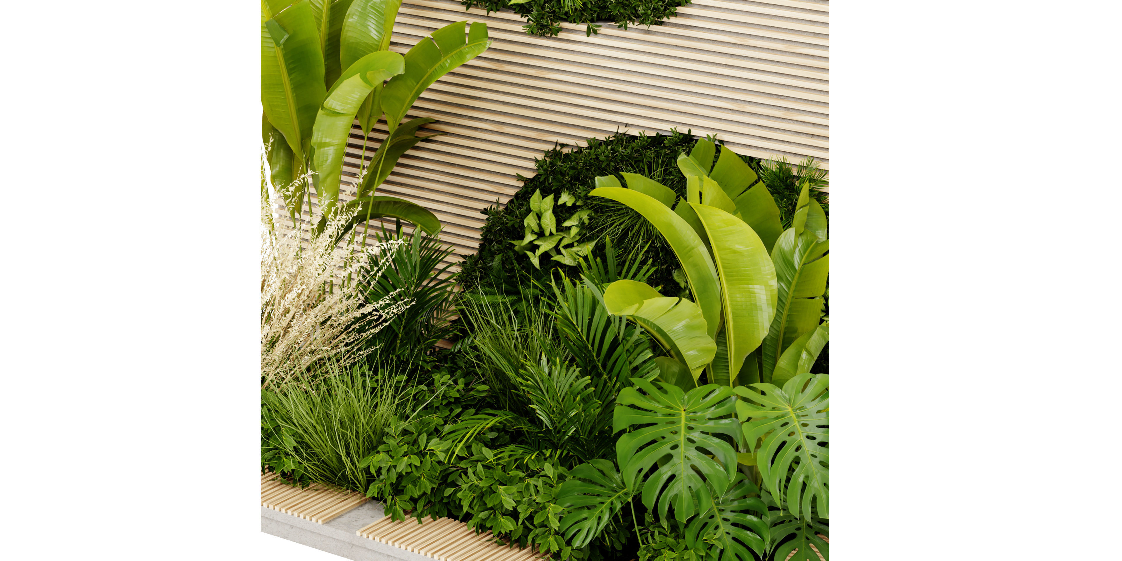 Collection plant vol 462 - blender model  3D model_2