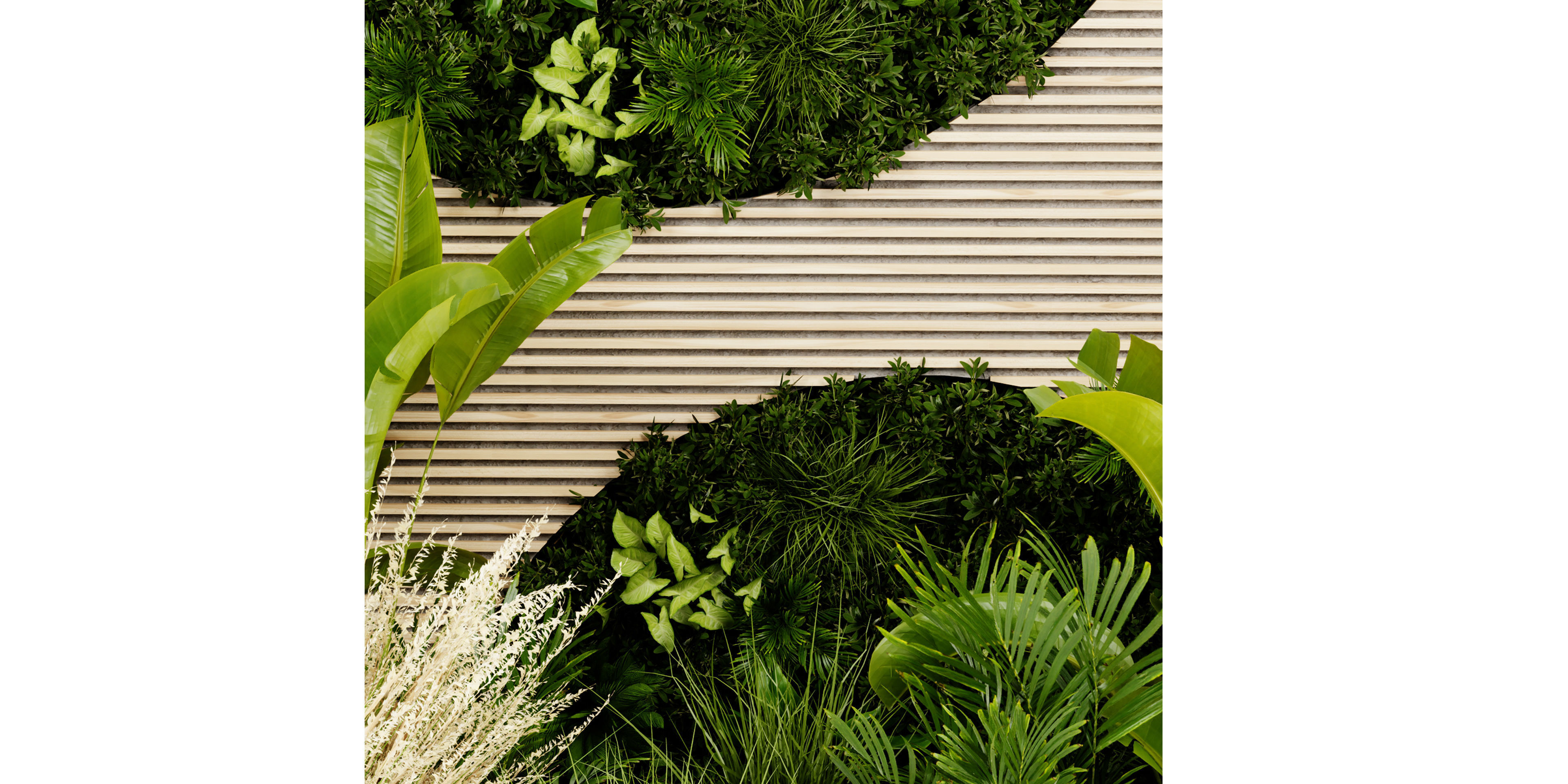 Collection plant vol 462 - blender model  3D model_4