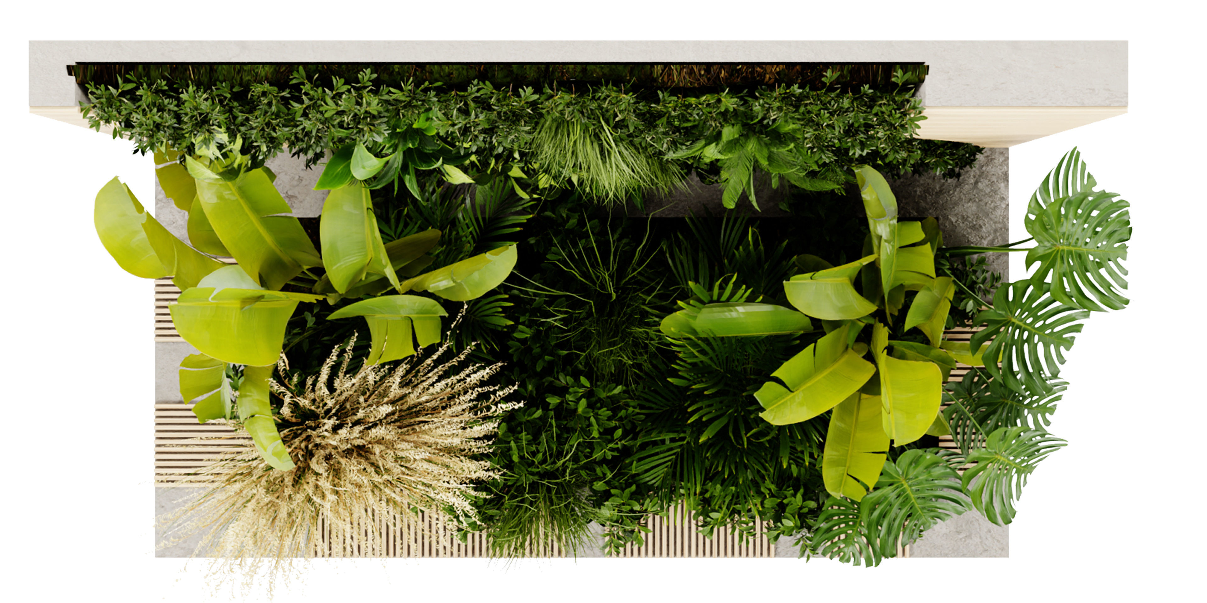 Collection plant vol 462 - blender model  3D model_5