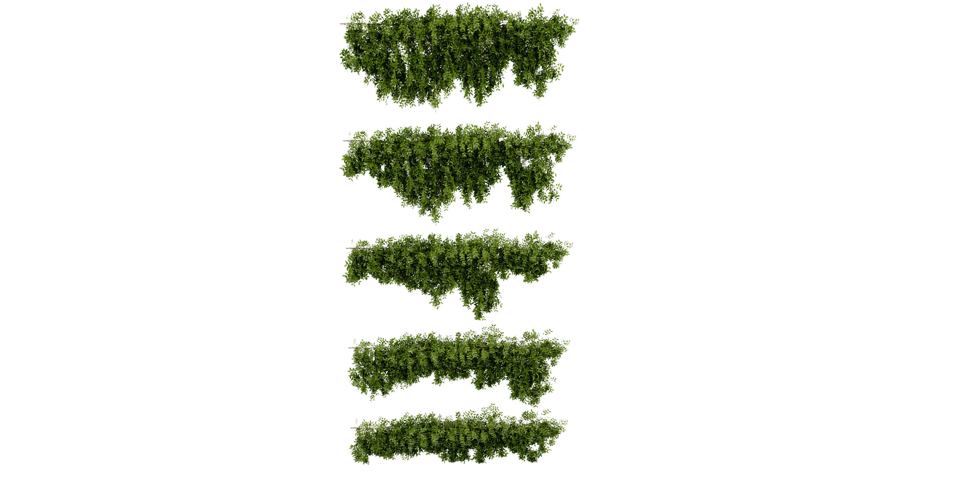 Collection plant vol 464 - blender model  3D model_1