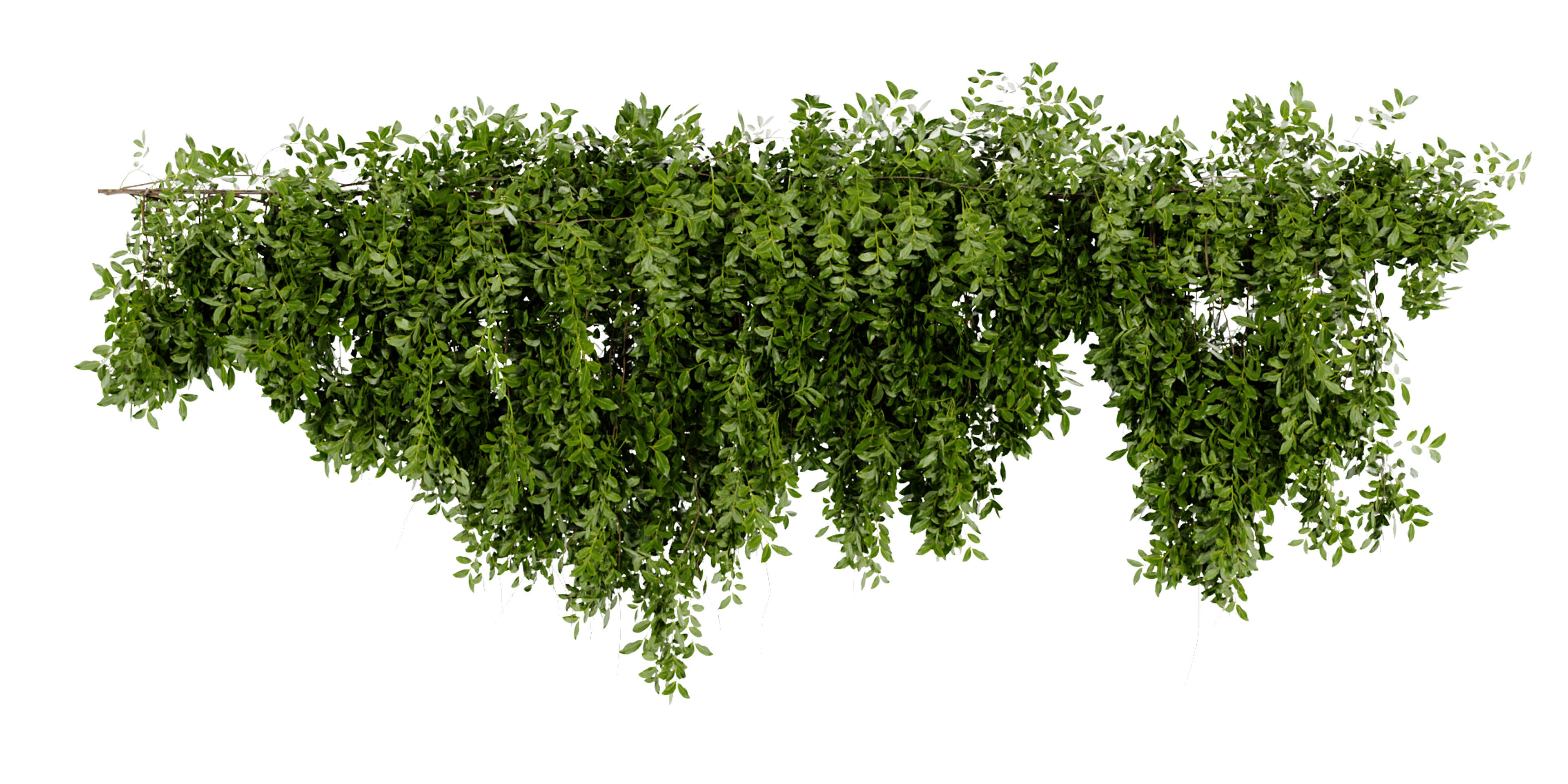 Collection plant vol 464 - blender model  3D model_3