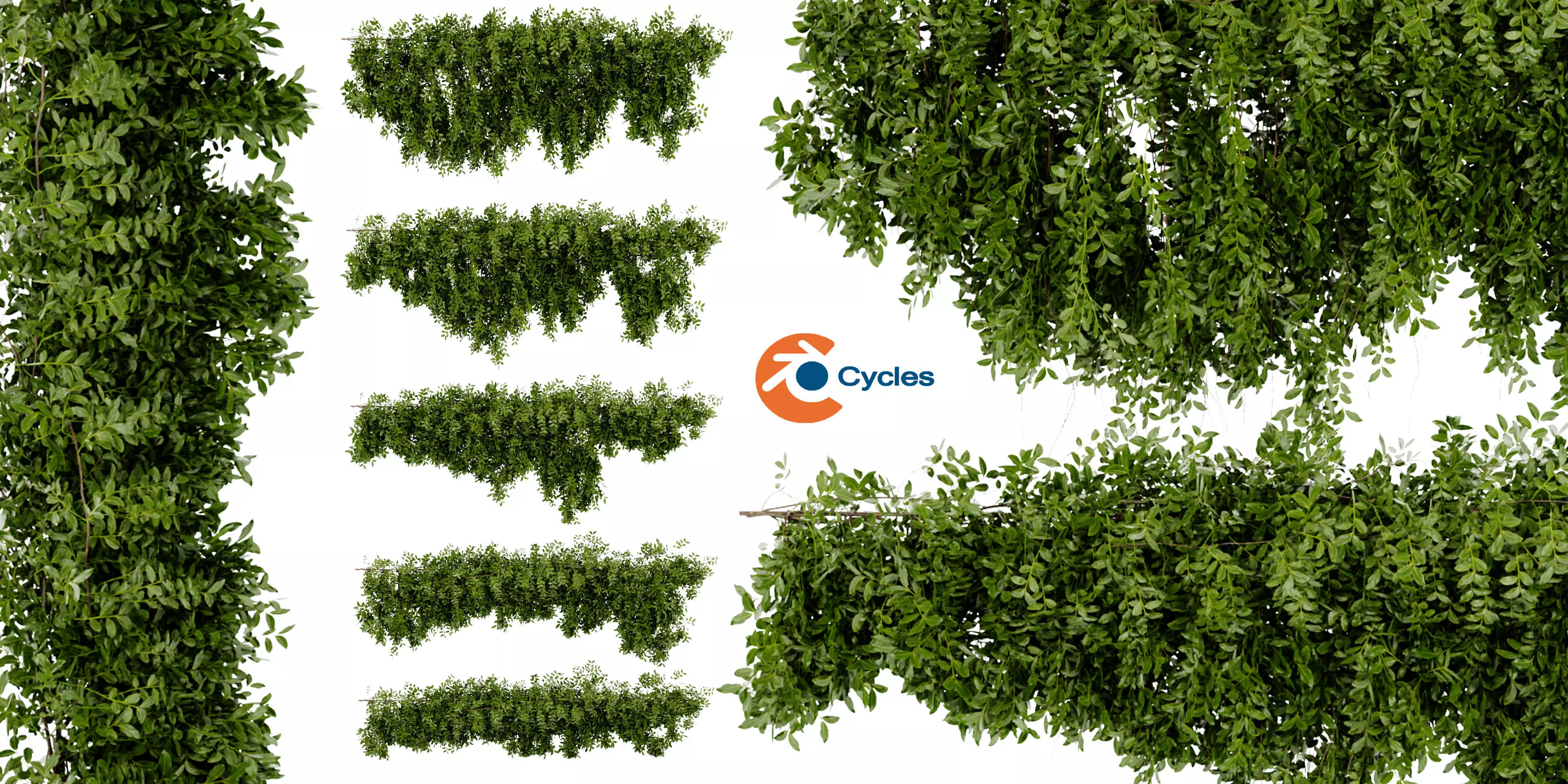 Collection plant vol 464 - blender model  3D model_0