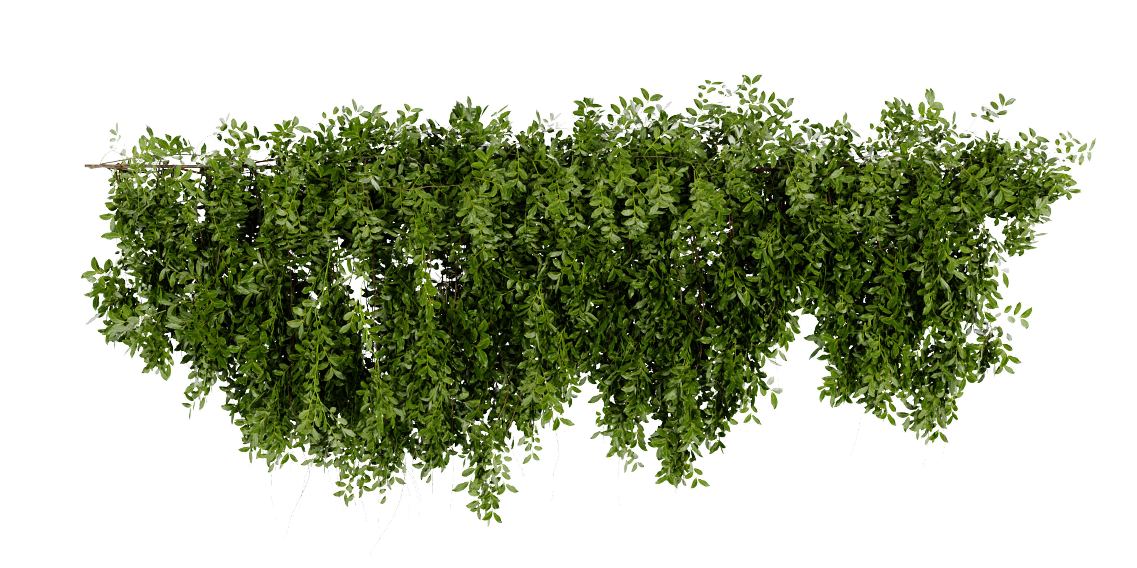 Collection plant vol 464 - blender model  3D model_2