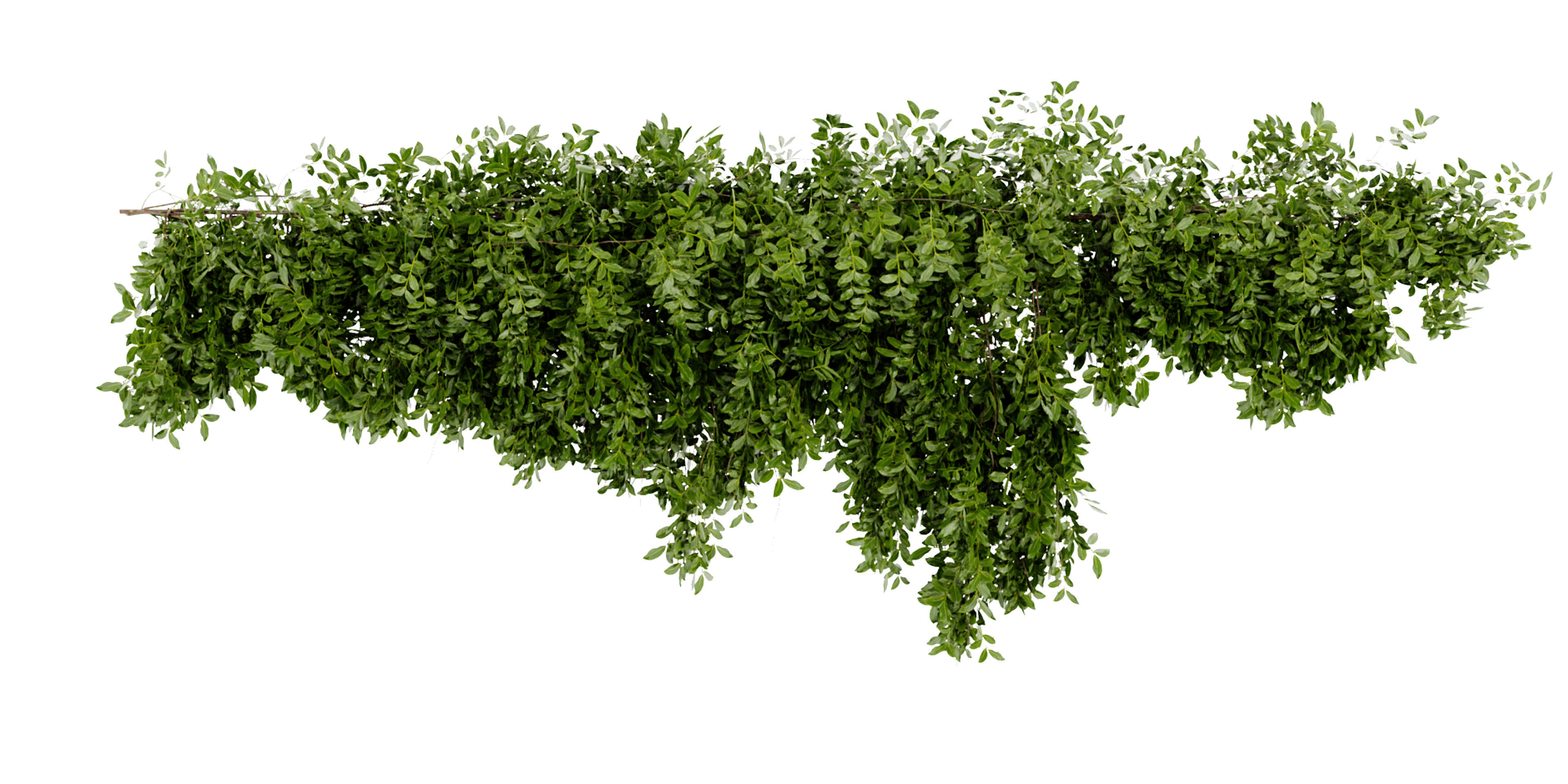 Collection plant vol 464 - blender model  3D model_4