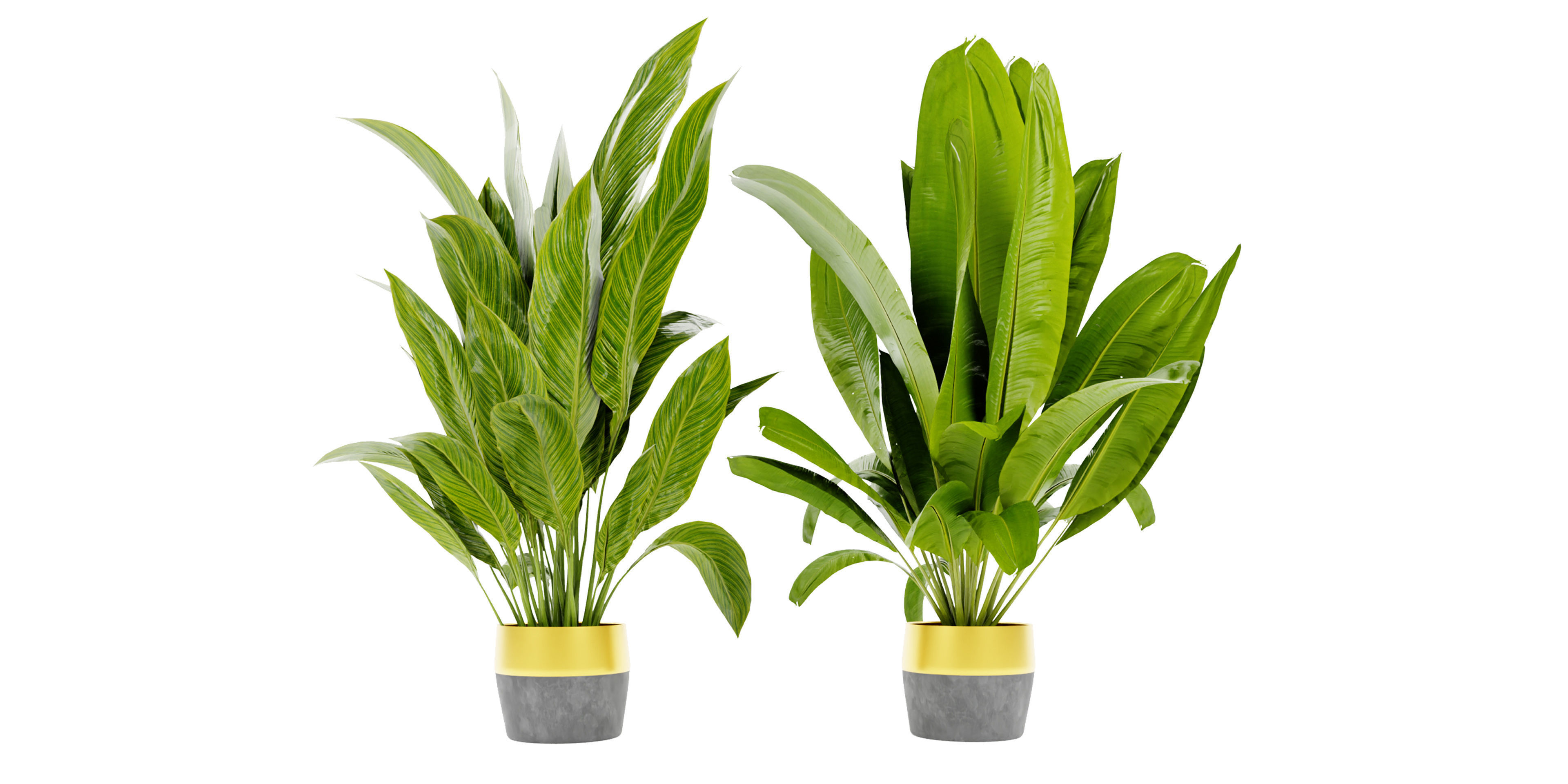 Collection plant vol 465 - blender model  3D model_1