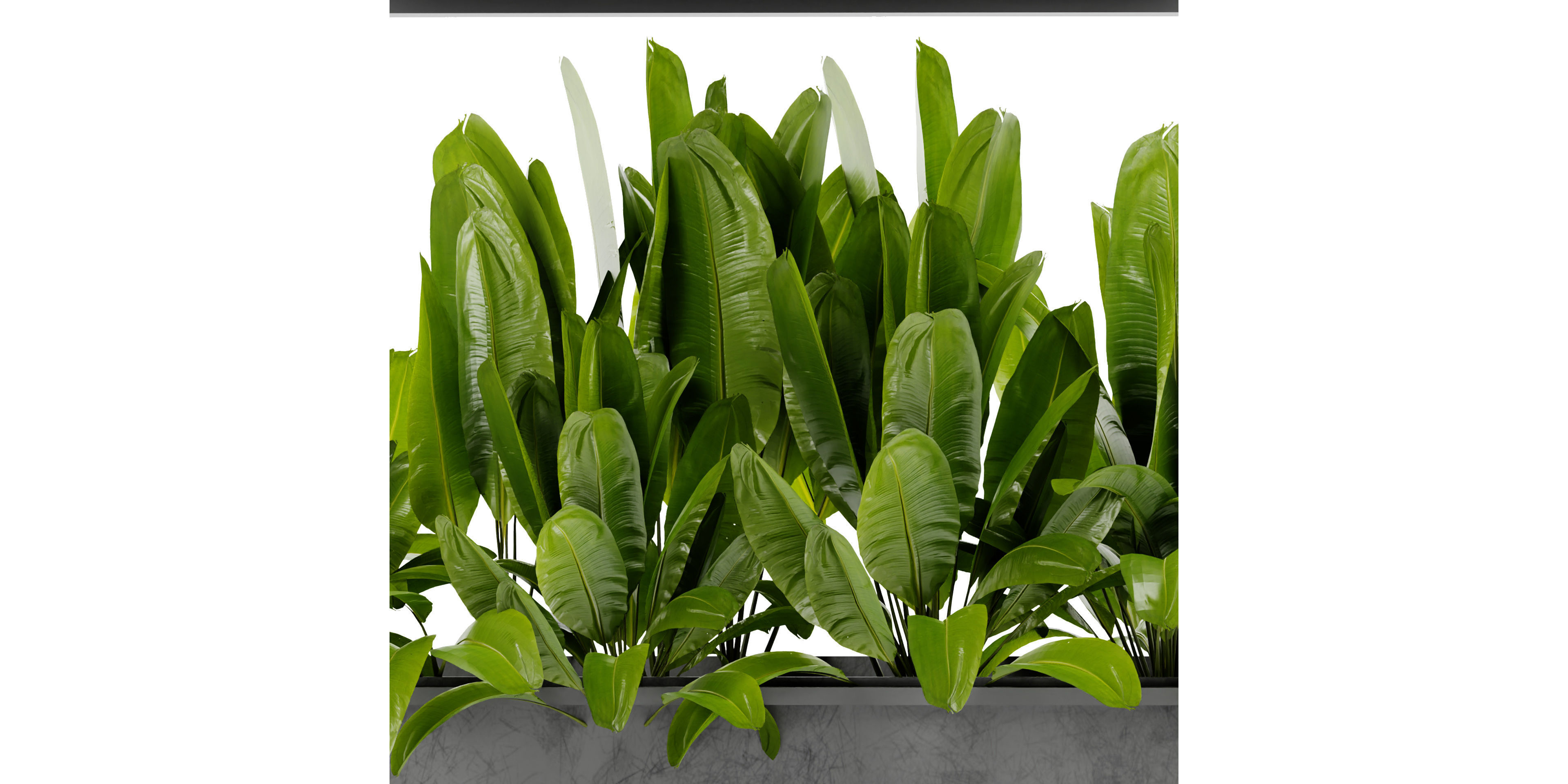 Collection plant vol 466 - blender model  3D model_2