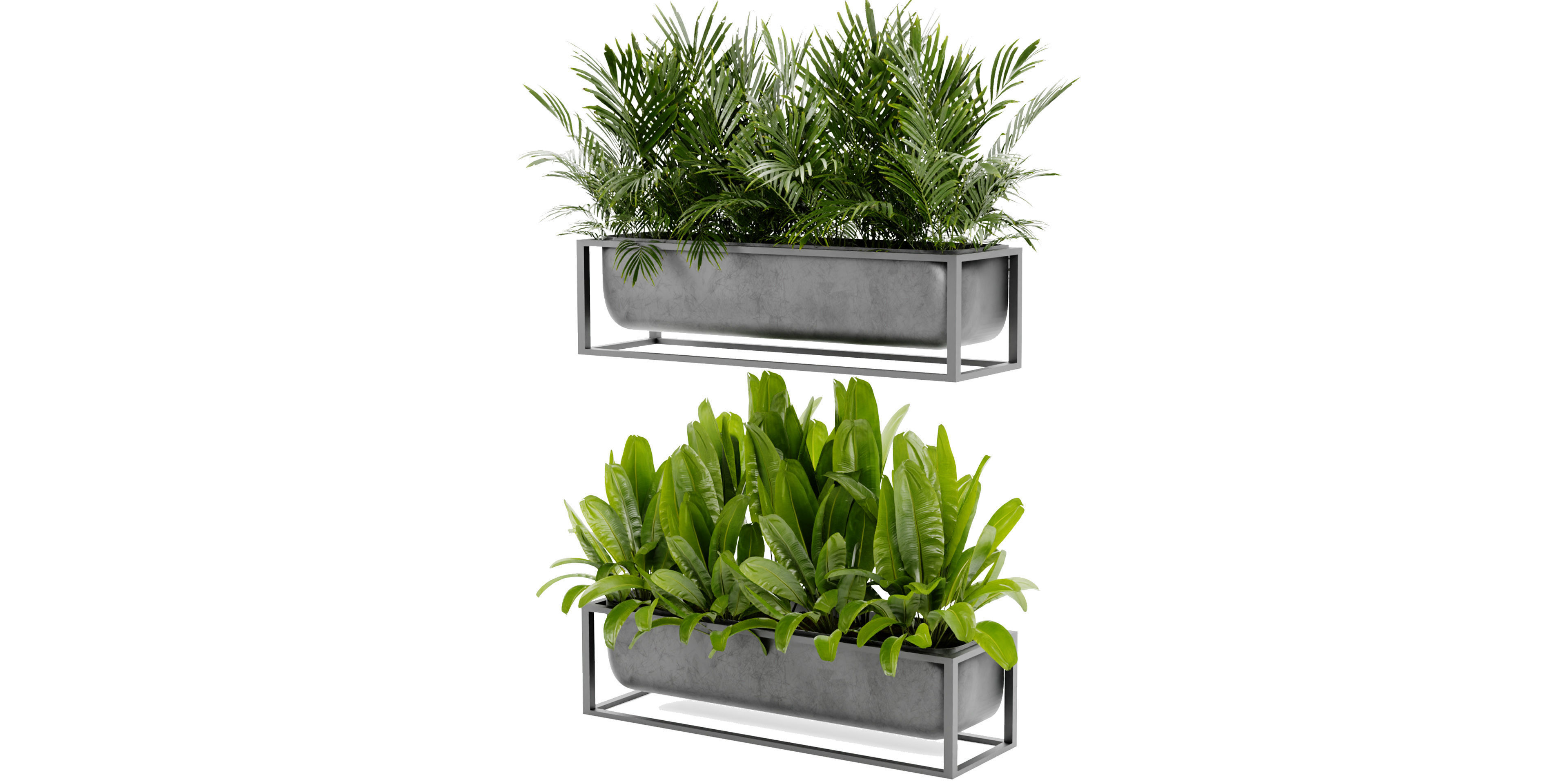 Collection plant vol 466 - blender model  3D model_4