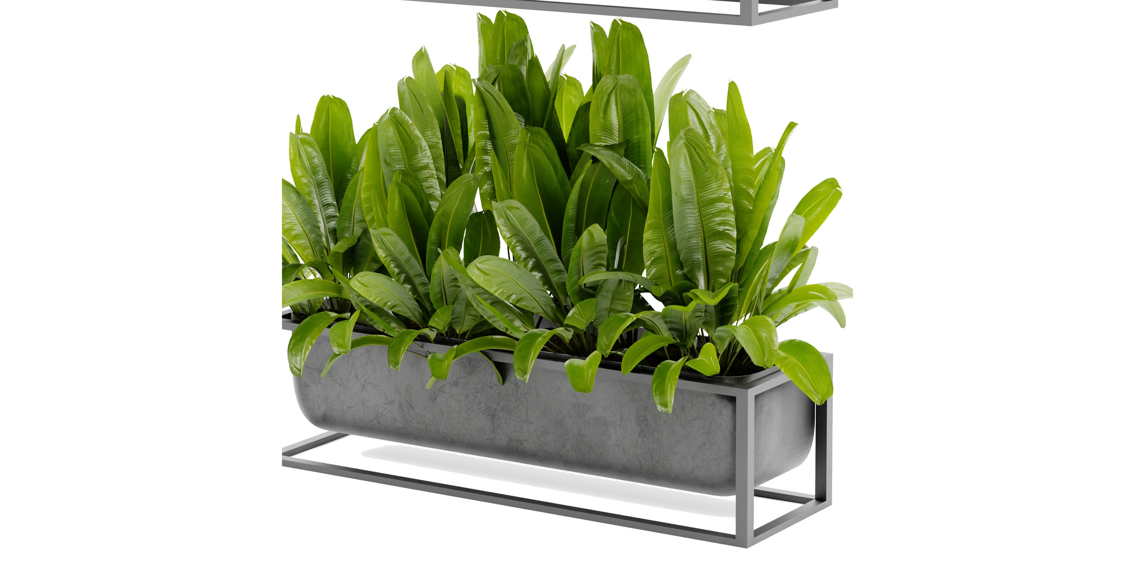 Collection plant vol 466 - blender model  3D model_5