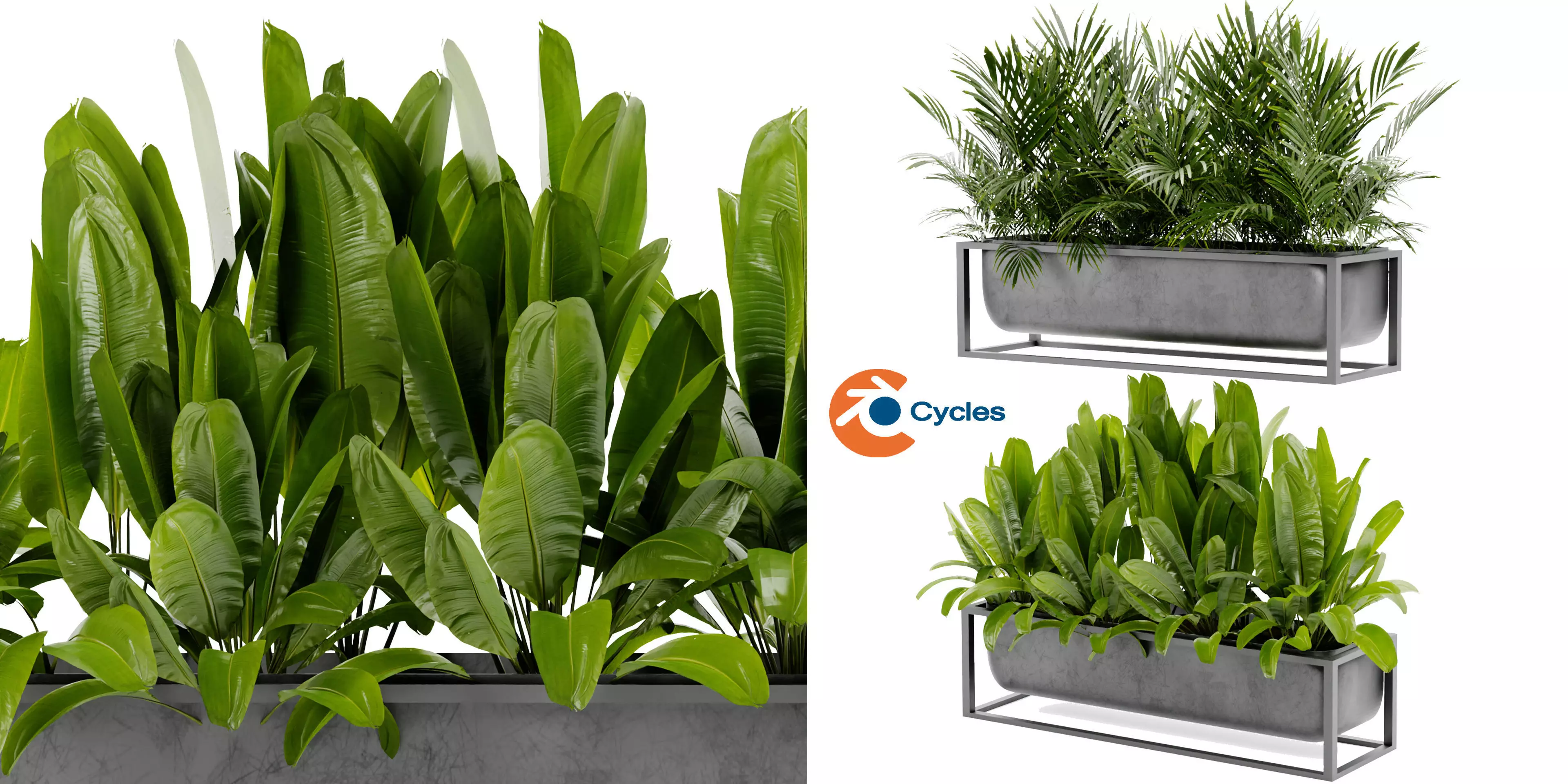 Collection plant vol 466 - blender model  3D model_0