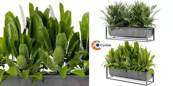 Collection plant vol 466 - blender model  3D model