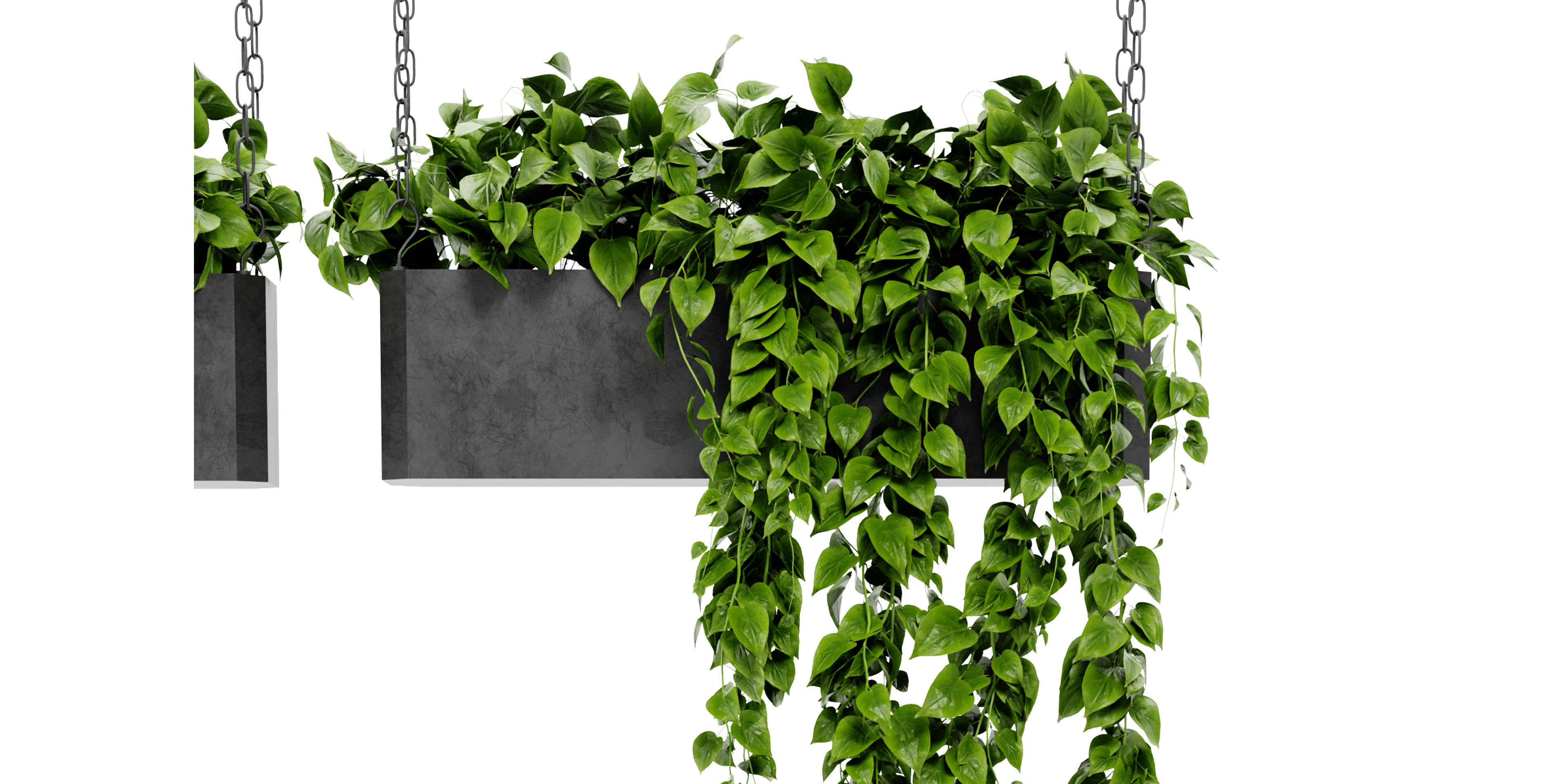 Collection plant vol 469 - blender model  3D model_4