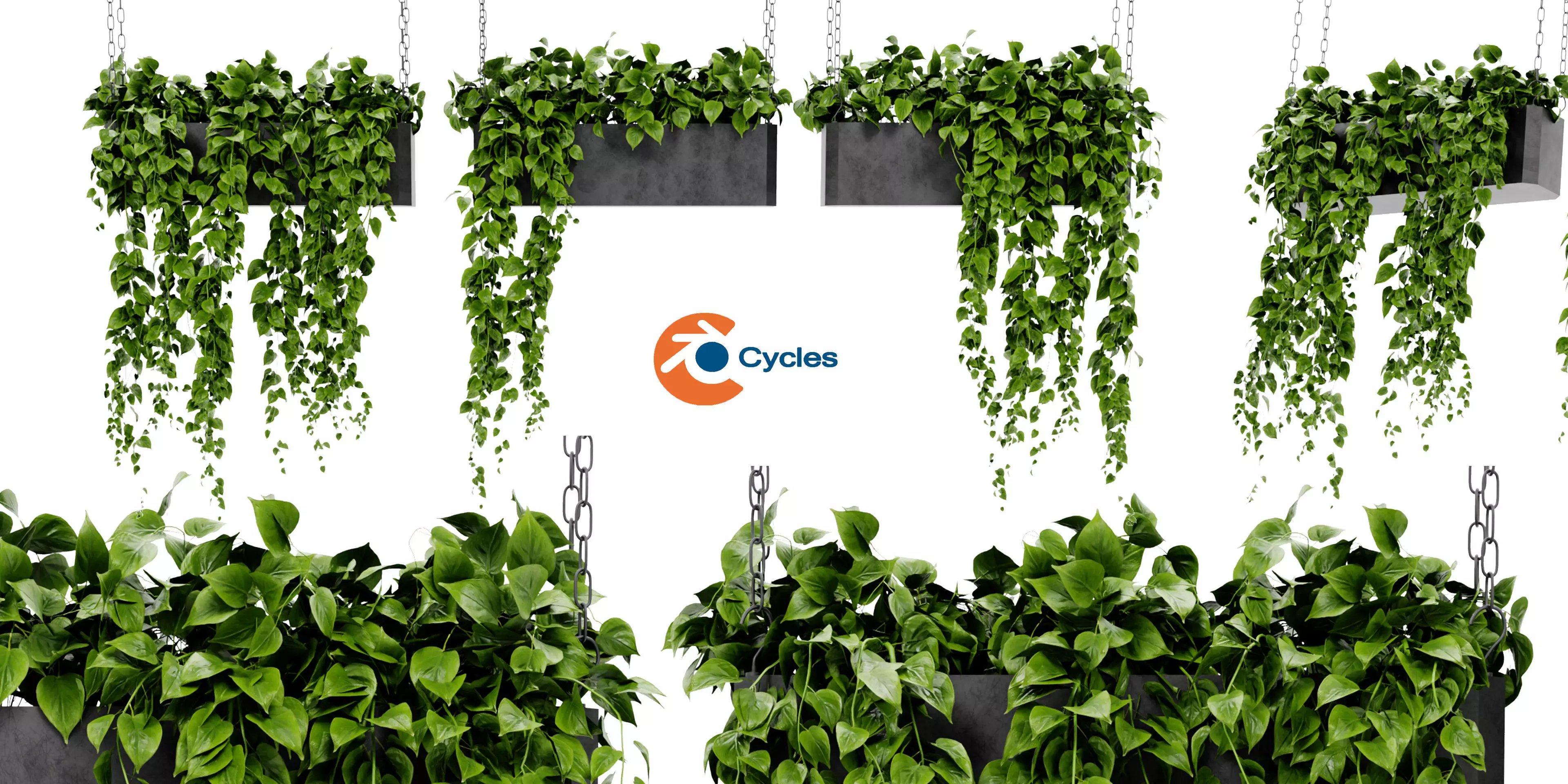 Collection plant vol 469 - blender model  3D model_0