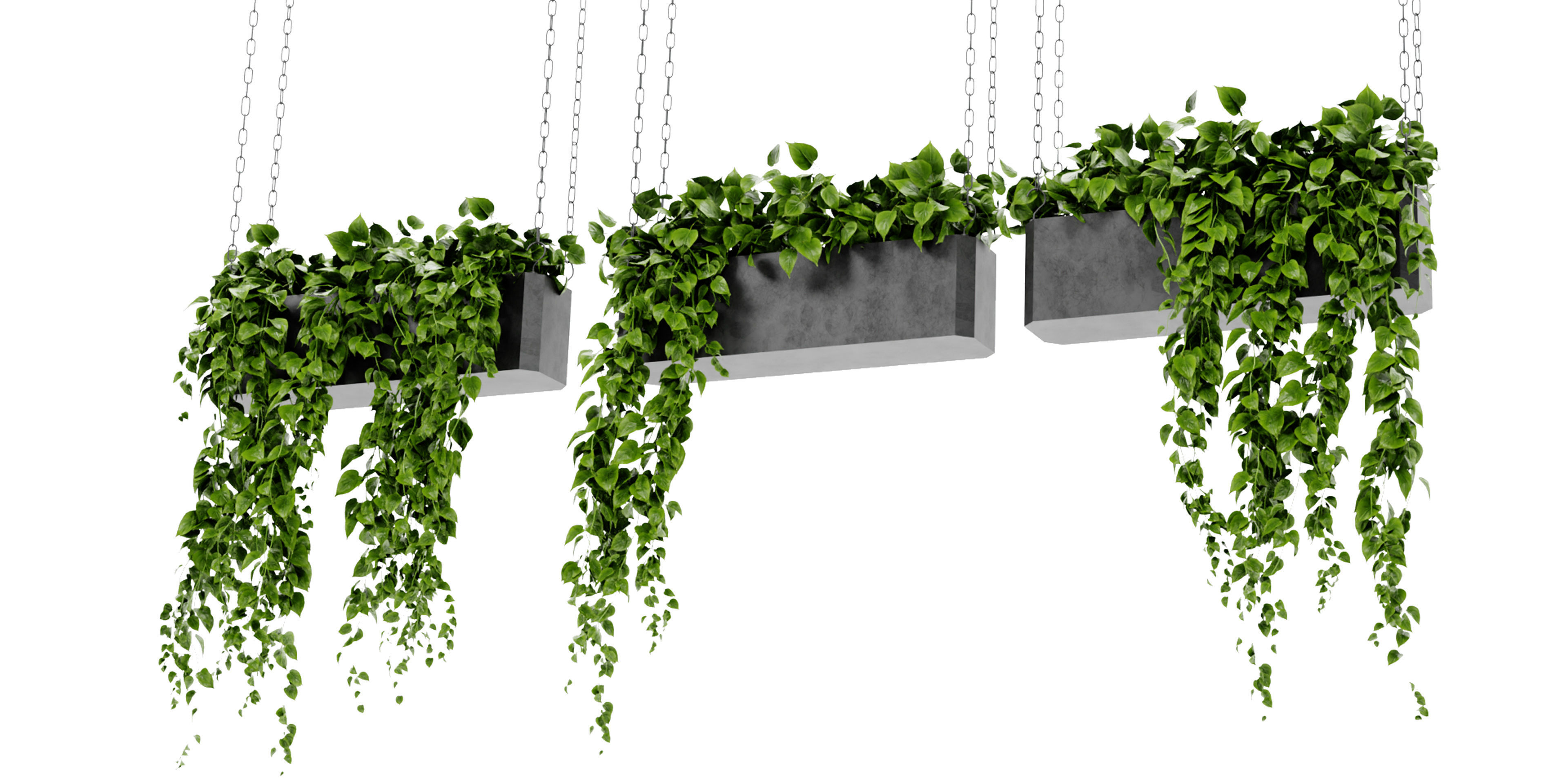 Collection plant vol 469 - blender model  3D model_5