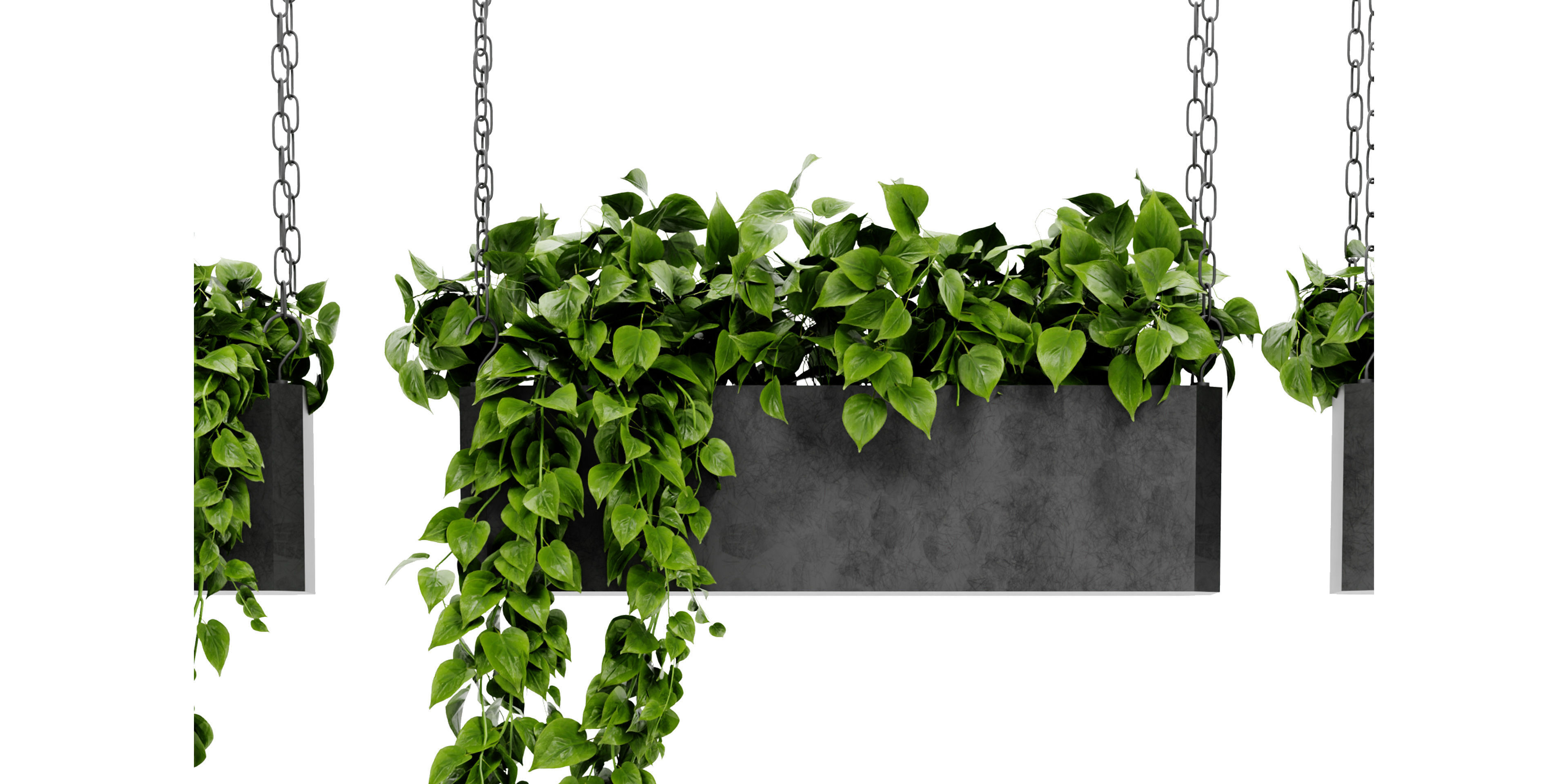 Collection plant vol 469 - blender model  3D model_2