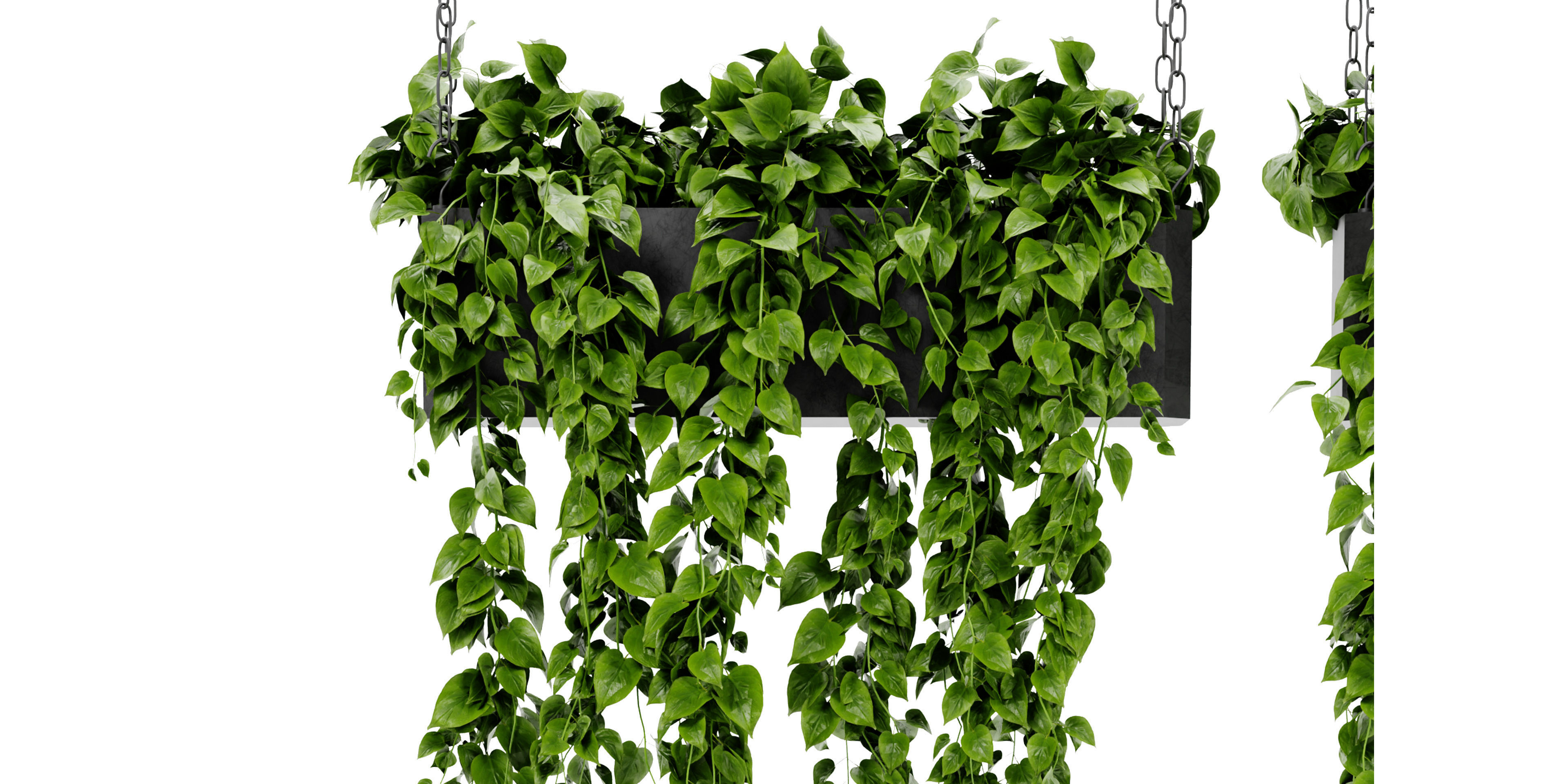 Collection plant vol 469 - blender model  3D model_3