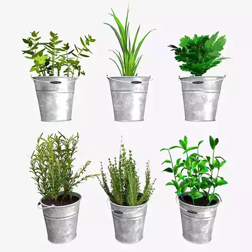 Kitchen Plants Interior Vegetation Flora Greenery Low-poly 3D model