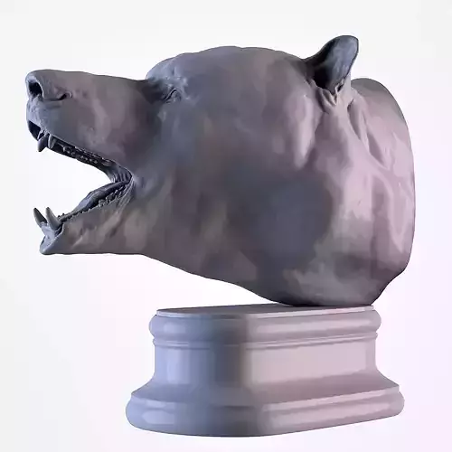 Bear Head 3D print model