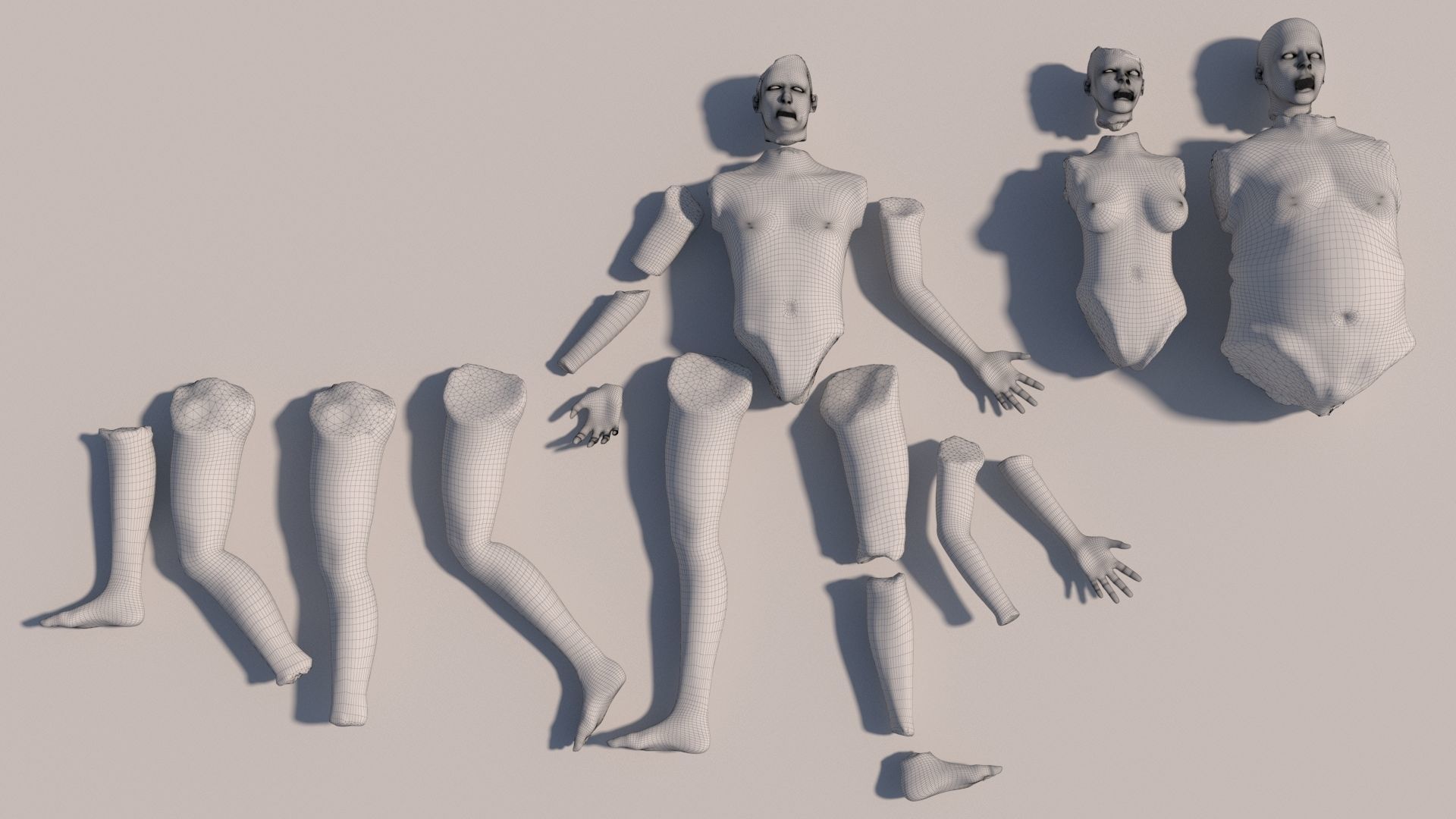 Body parts with textures 3D model_16