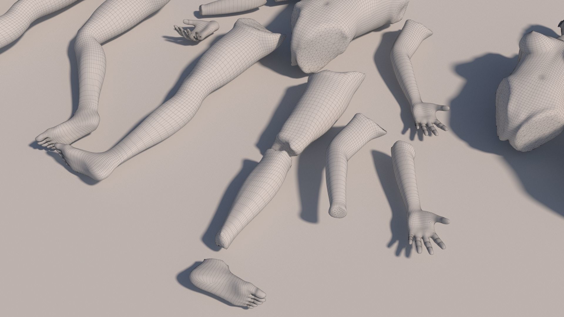 Body parts with textures 3D model_19