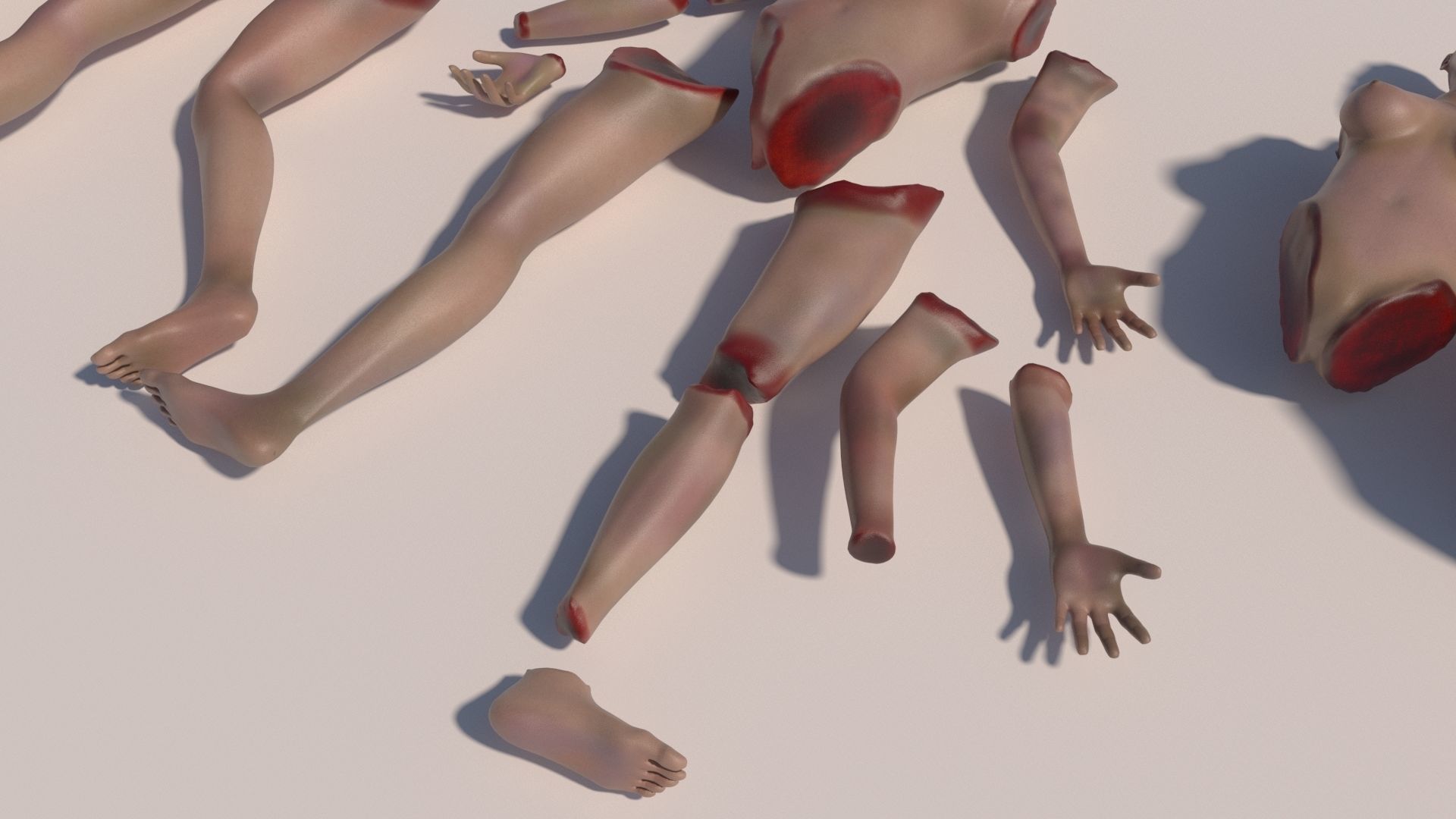 Body parts with textures 3D model_9