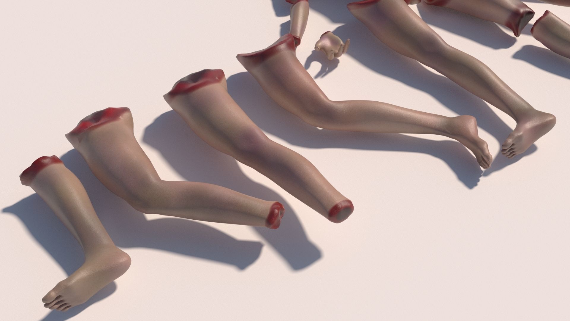 Body parts with textures 3D model_8