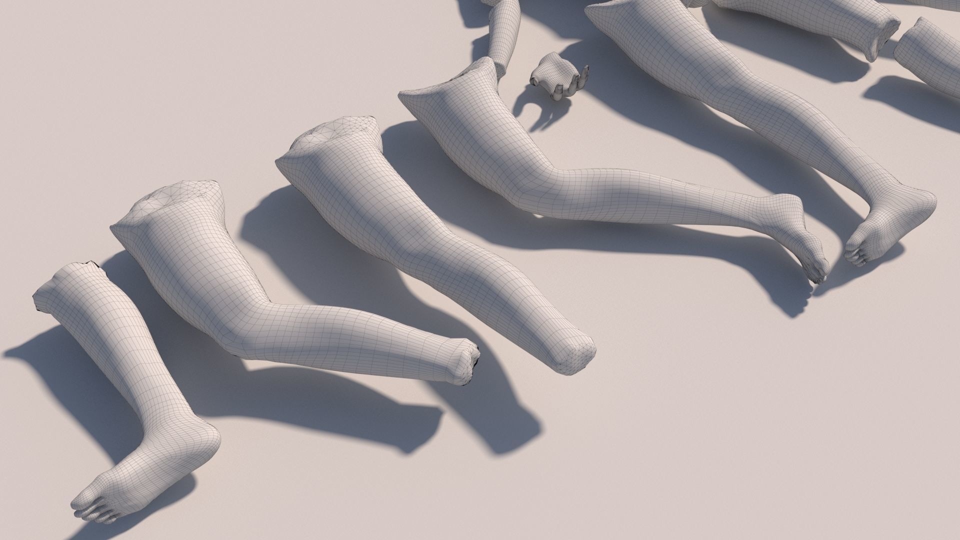 Body parts with textures 3D model_18