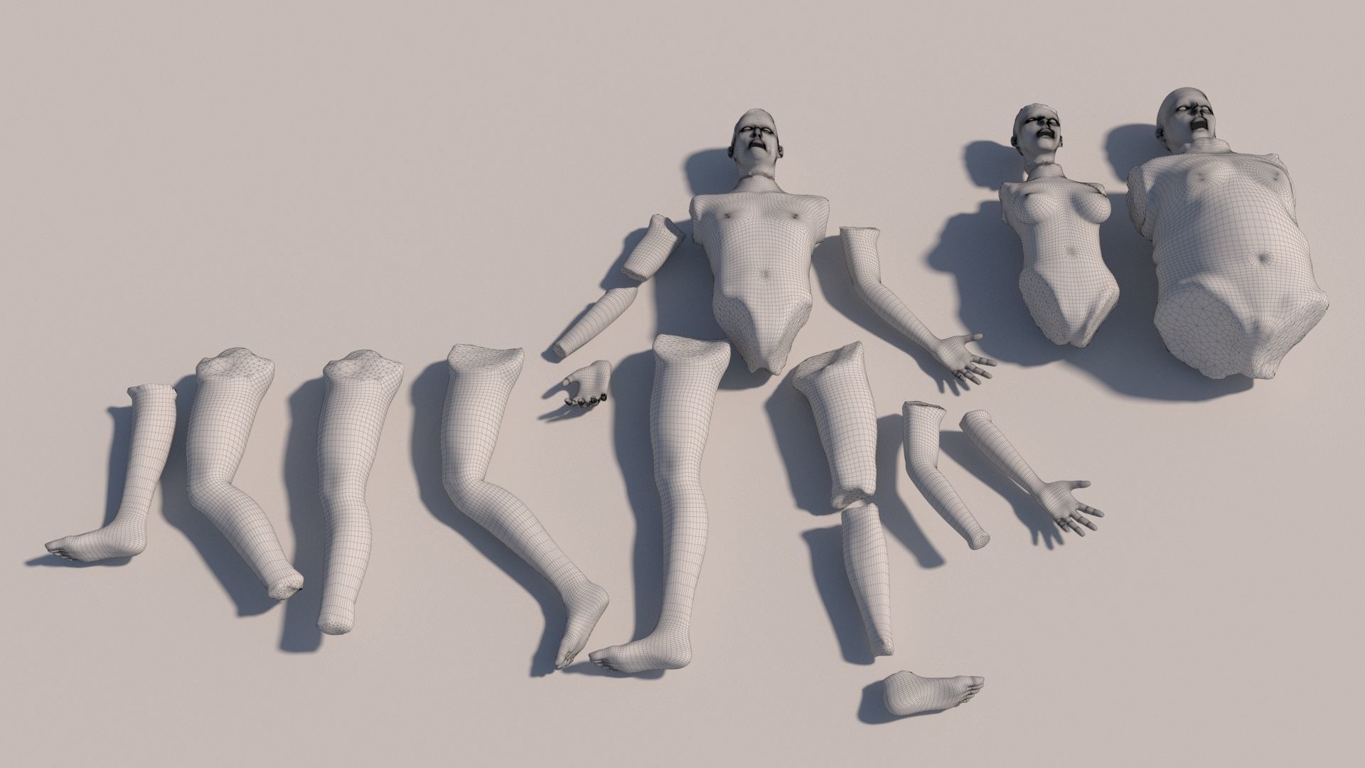 Body parts with textures 3D model_11