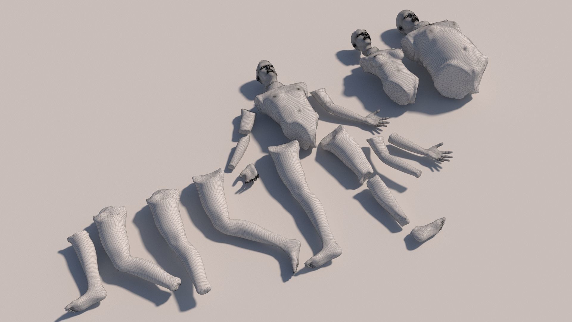Body parts with textures 3D model_10